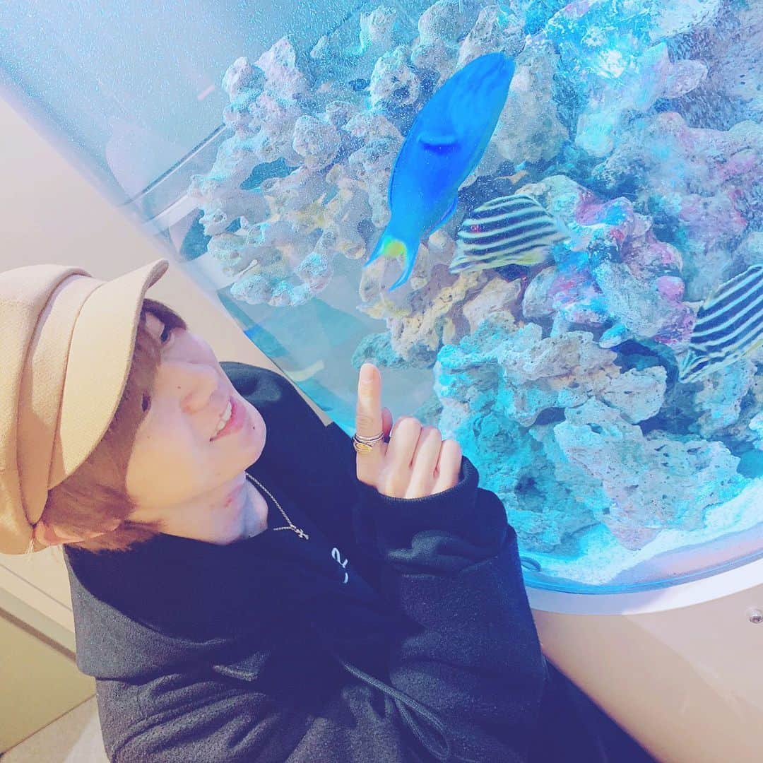 Travis Japan（トラジャ）さんのインスタグラム写真 - (Travis Japan（トラジャ）Instagram)「#しめしず #水族館　 #水族館デート #Johnnys #TravisJapan #宮近海斗 #KaitoMiyachika #中村海人 #KaitoNakamura #七五三掛龍也 #RyuyaShimekake #川島如恵留 #NoelKawashima  #吉澤閑也 #ShizuyaYoshizawa  #松田元太 #GentaMatsuda  #松倉海斗 #KaitoMatsukura」3月20日 20時00分 - travis_japan_official