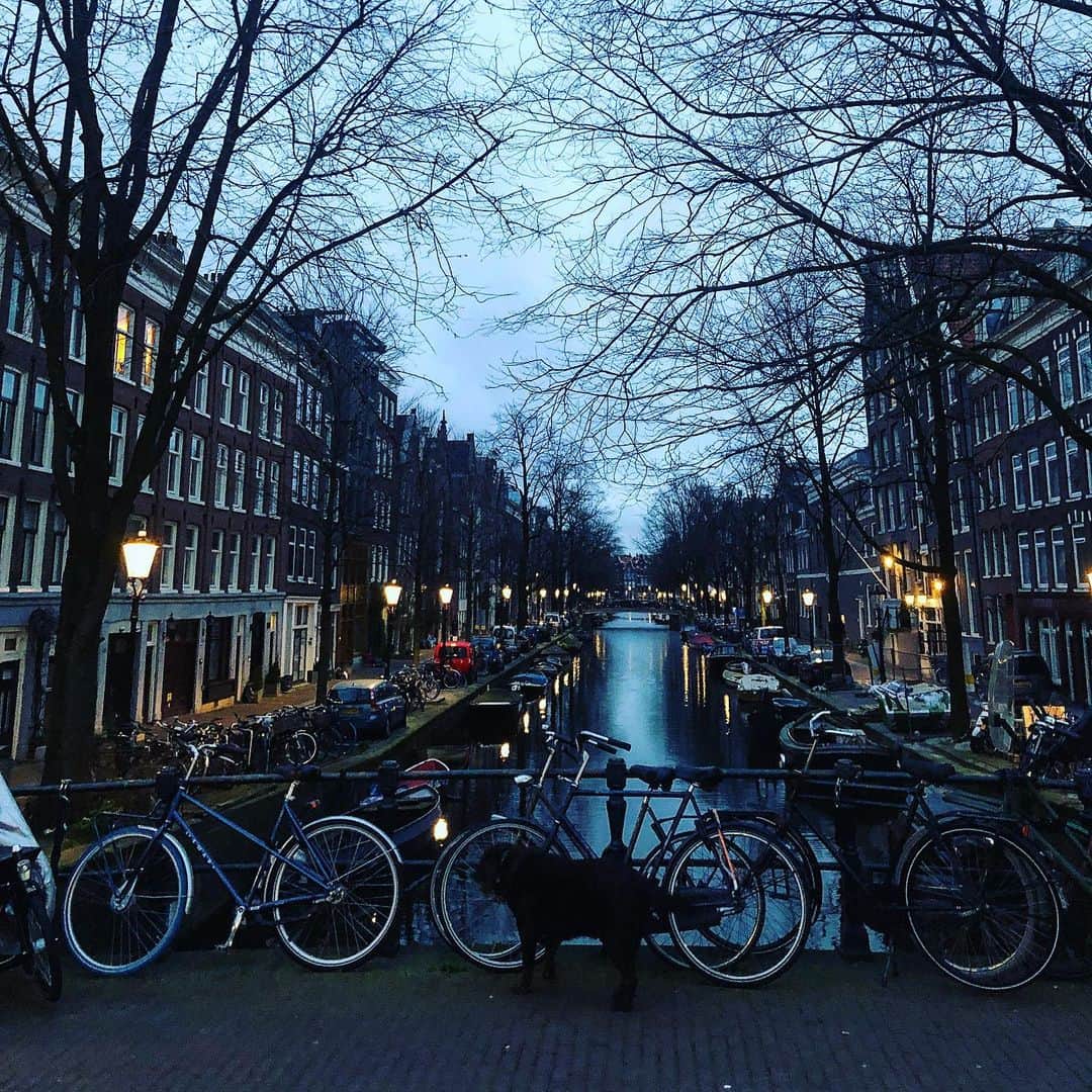 デンハムさんのインスタグラム写真 - (デンハムInstagram)「Amsterdam forever | Good morning Amsterdam | Beautiful sunrise | can you see Norton ? #denham #amsterdamforever #jasondenham #denhamthejeanmaker #amsterdam #sunrise #thetruthisinthedetails」3月20日 14時37分 - denhamthejeanmaker