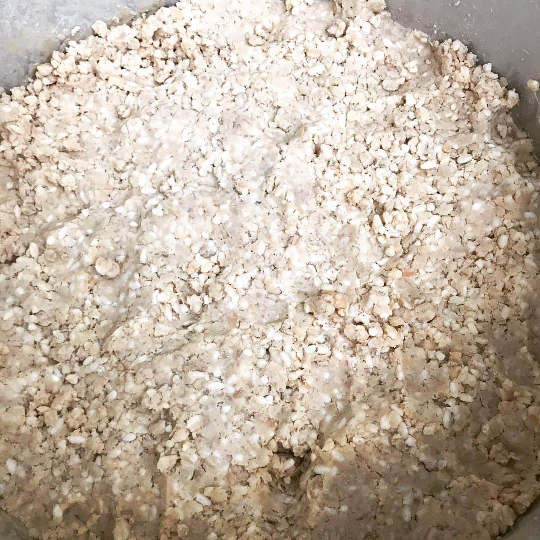 桜井誠のインスタグラム：「人肌冷まして 麹と混ぜて 味噌玉作って 樽の中へ 後は時間が美味しくしてくれるはず #味噌作り　#桜井食堂」