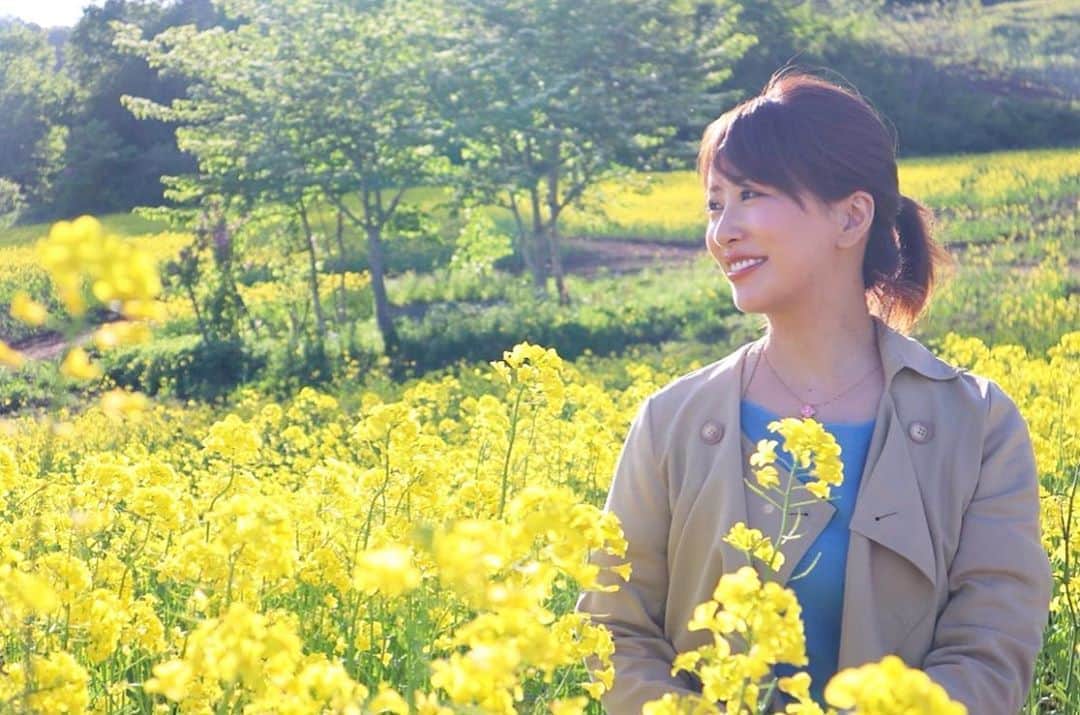 神室舞衣のインスタグラム：「今年も行けるといいな 菜の花畑。」