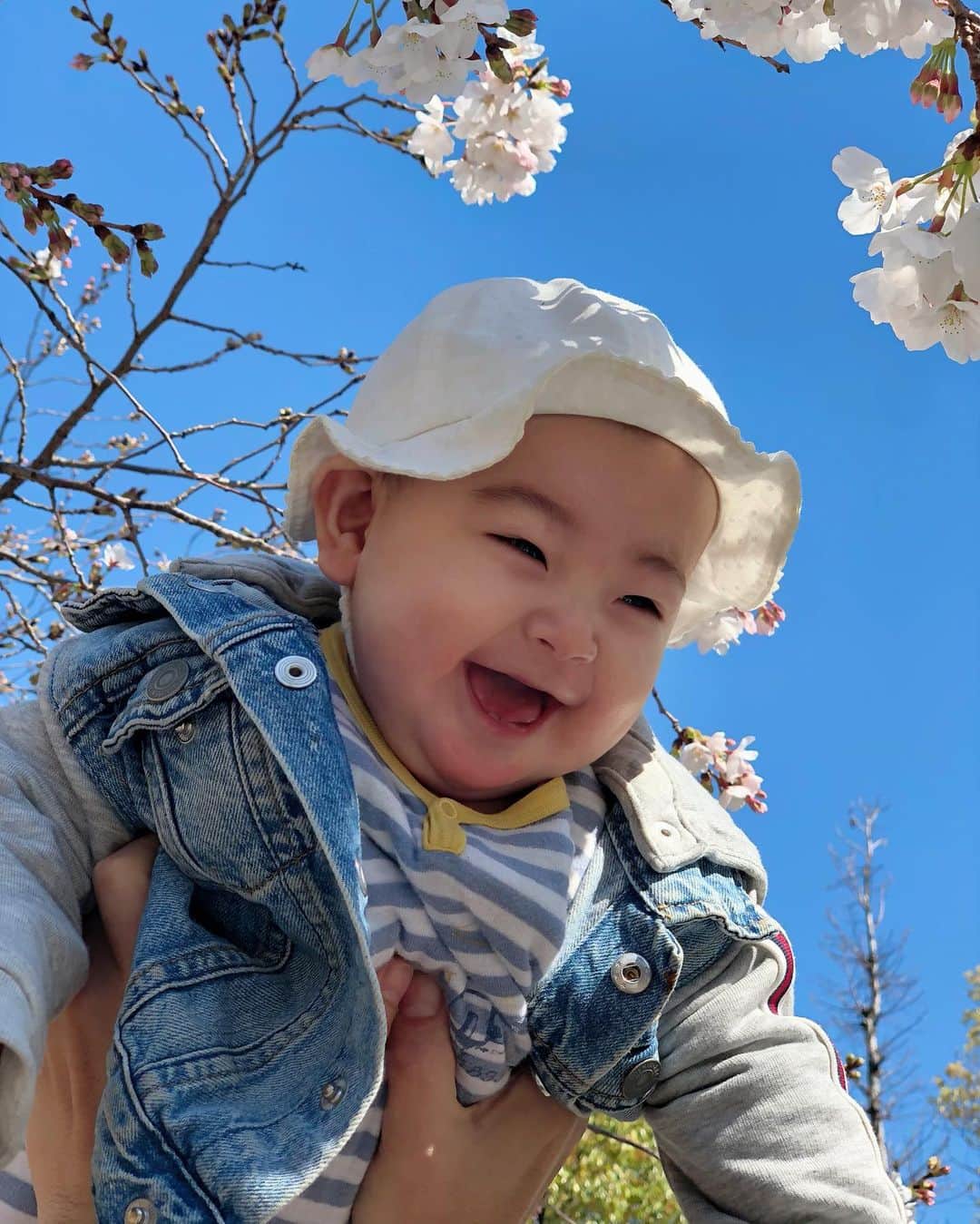 涼紫央さんのインスタグラム写真 - (涼紫央Instagram)「幸せを運ぶ天使」3月20日 15時04分 - toitoitoi