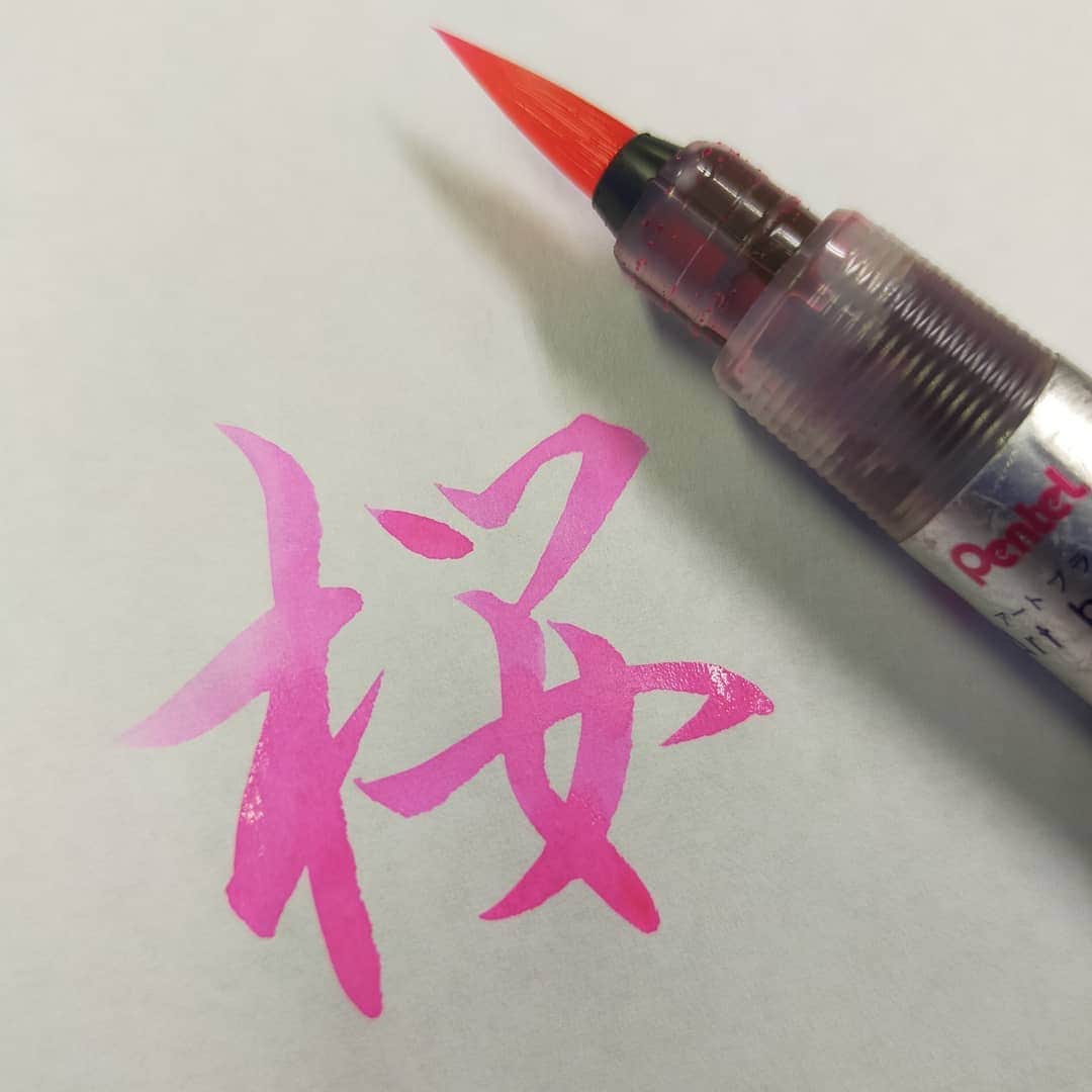 東宮たくみさんのインスタグラム写真 - (東宮たくみInstagram)「#桜 #さくら #cherryblossom  #アートブラッシュ  #筆ペン #japanesecalligraphy  #handwriting」3月20日 15時38分 - tohgutakumi