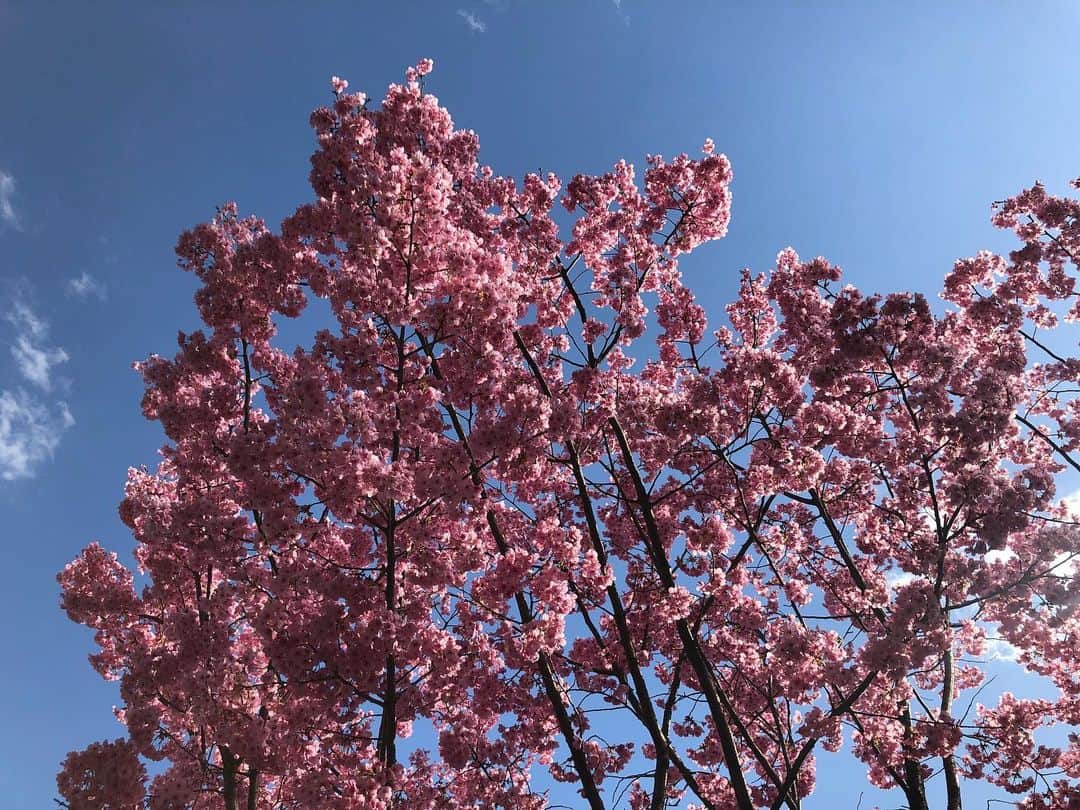 職人.comのグルメインスタ