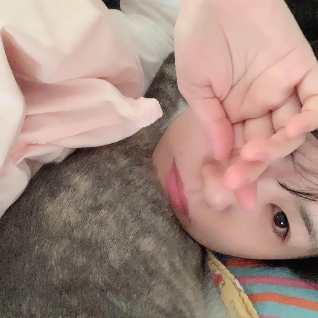 のインスタグラム：「【つぼみさんTwitterより】﻿ ﻿ なにして過ごしますか🐱❓﻿ ﻿ #つぼみ﻿ #つぼみん﻿ #つぼみたん﻿ #AV女優﻿ #sexy女優﻿ #エクセリア﻿ #MOODYZ ﻿ #WANZ ﻿ #Tsubomin﻿ #ワンズファクトリー﻿ #ロリータ﻿ #Tsubostagrazm﻿ #fanstagram﻿ #ロリ界の神﻿ #ぼみつ﻿ #アダルトビデオ﻿ #可愛い﻿ #女神﻿ #セクマイ﻿ #コスプレ﻿ #S1﻿ #同人作家﻿ ﻿#ねむい ﻿ ﻿ ﻿ 日記はトップページのURLから－＝≡( ๑´･ω･)」