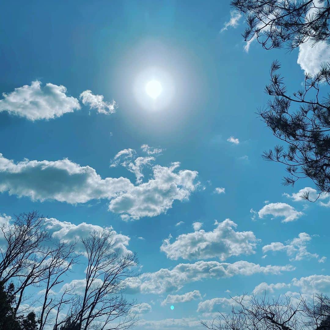 HiRAO INCのインスタグラム：「. 春分の日の今日は 今日を境に、運の大きなエネルギーの流れが切り替わる、元旦のような日。  本格的に2020年が始まります。  エネルギーはまるく、優しい。 次の時代を象徴する 完全なる調和、共鳴、共存の形をみせてくれてました。  今日は宇宙を仰いで、エネルギーを沢山吸い込んでチャージして下さい。  みなさん、素晴らしい1日を！」