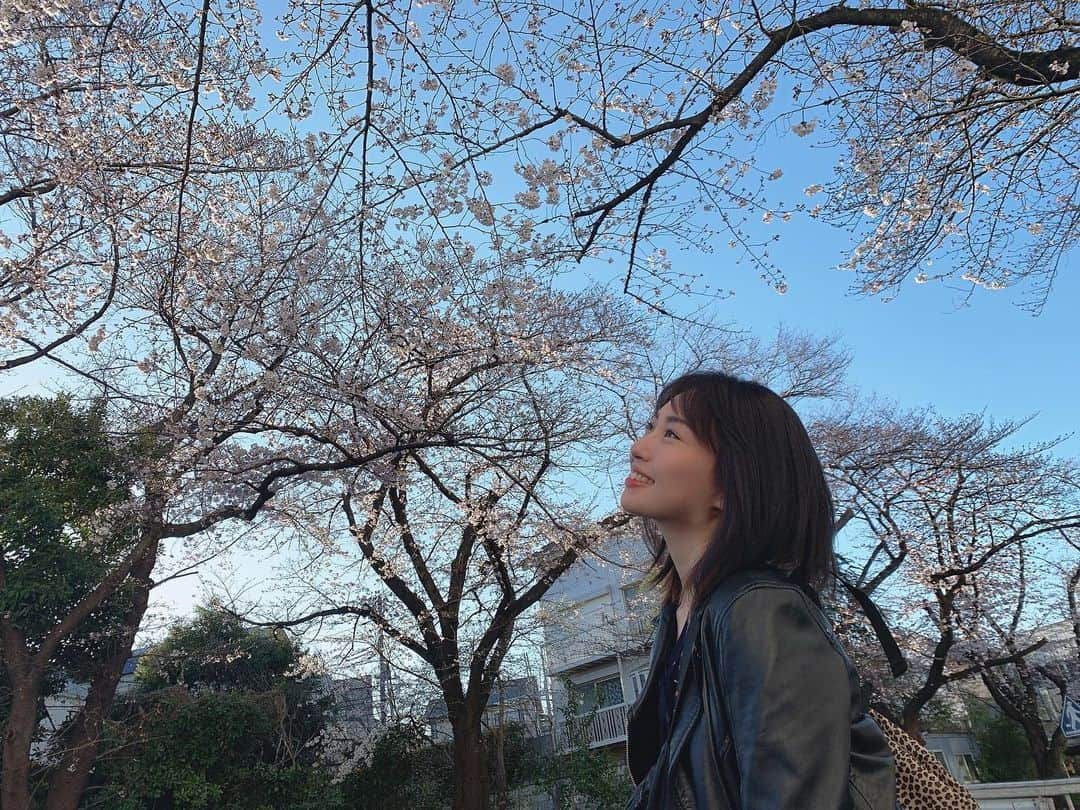 増田有華さんのインスタグラム写真 - (増田有華Instagram)「もうすこしで満開🌸 十円ハゲも徐々に生えてきてます。」3月20日 17時32分 - masuyuka_official