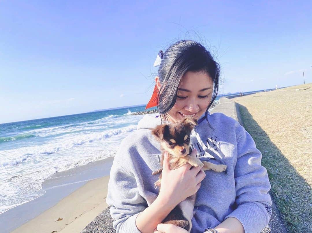 Rina Itagakiのインスタグラム：「Love you to the beach and back🏝🐶🤣 #puppy #doglife #chihuahua #チワワ #4ヶ月 #お散歩 #いぬのいる暮らし」