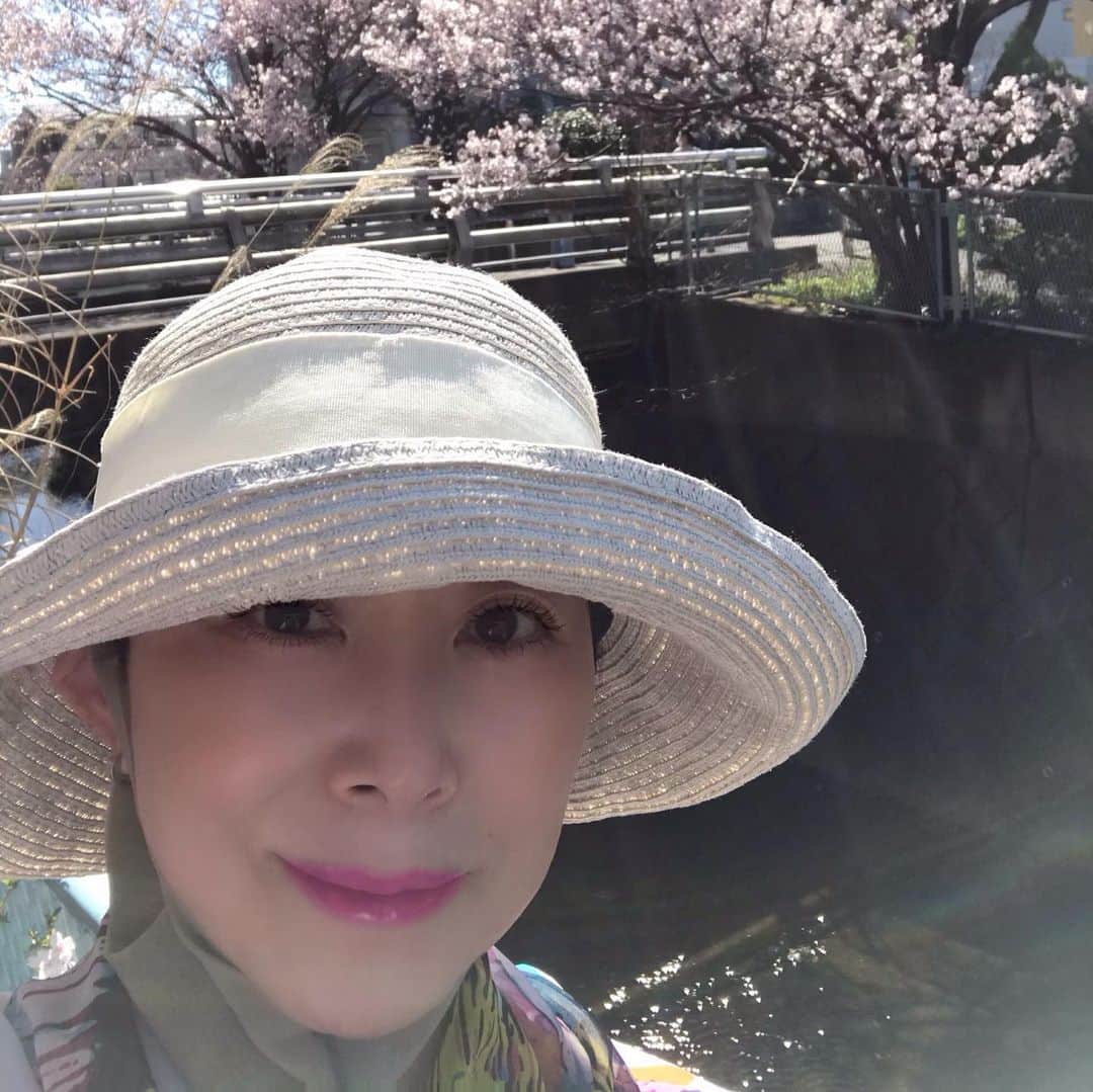 小川知子さんのインスタグラム写真 - (小川知子Instagram)「#コロナで時間ができたので#桜の開花#料理記録  コロナで時間ができたので日々散歩🚶🏻‍♀️🚶🏻‍♀️🚶🏻‍♀️ スポーツクラブも行けないし。 家族団欒の風景も微笑ましい。 コロナで悪いことばかりではない。普段出来ないことをやれるし。ジタバタしても始まらないですしねー。  料理にも精を出しています。  #牛肉のナムル #シンガポールのフード麻辣香锅。 #イカ墨パスタ #ケンタッキー期間限定のホットチキンを再現  色々作ってます😊😊😊」3月20日 17時52分 - tomoko_ogawa_