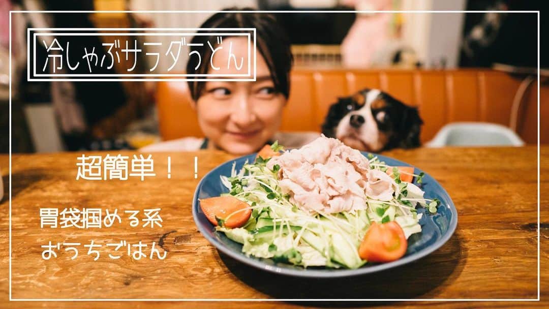 松本亜希のインスタグラム：「ちゃそめし#3✨✨ 今日は冷しゃぶサラダうどんです💁🏻‍♀️ 普通のサラダうどんじゃないんだな〜 タレがウマウマなので是非😋💓 病みつきになります〜🤤 プロフィールから観てみてね☺️ . #ちゃそめし #3 #冷しゃぶサラダうどん #YouTube #タレが決め手 #超簡単」
