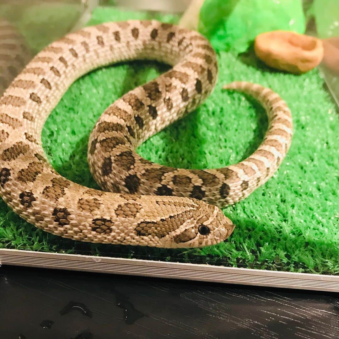 JULIAのグルメインスタ