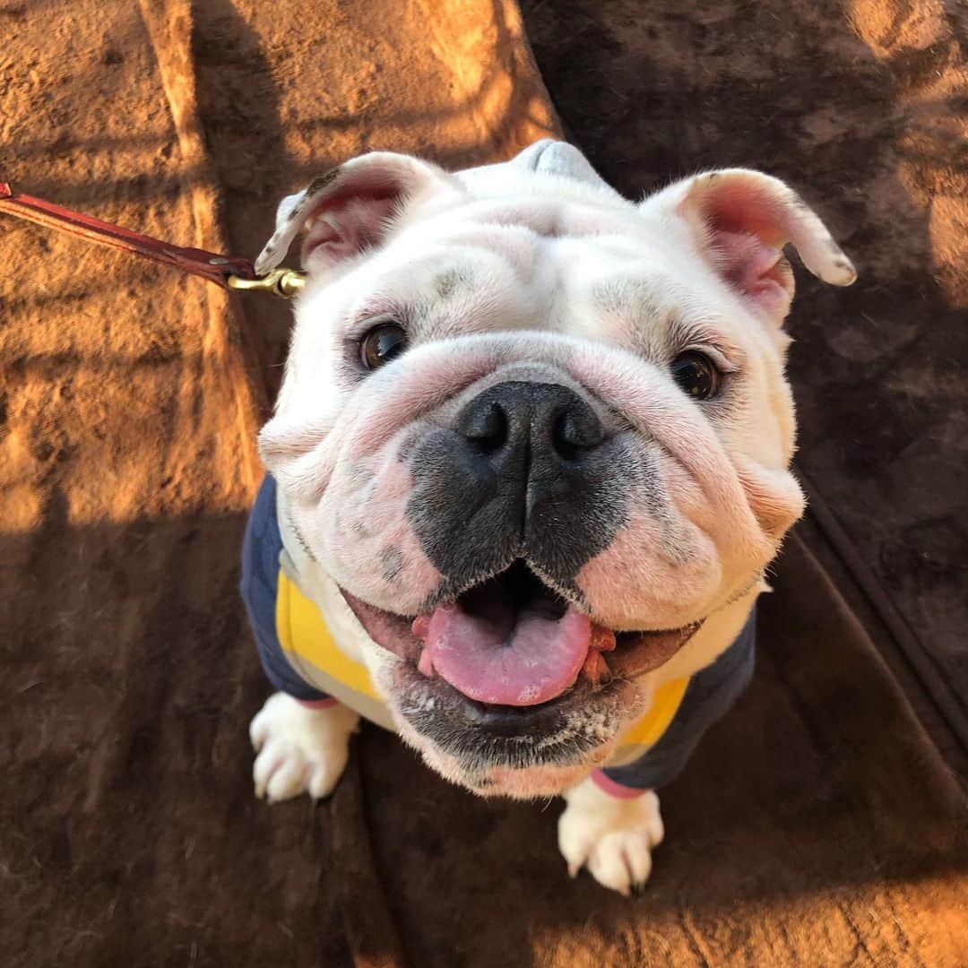 堀田祐美子のグルメインスタ