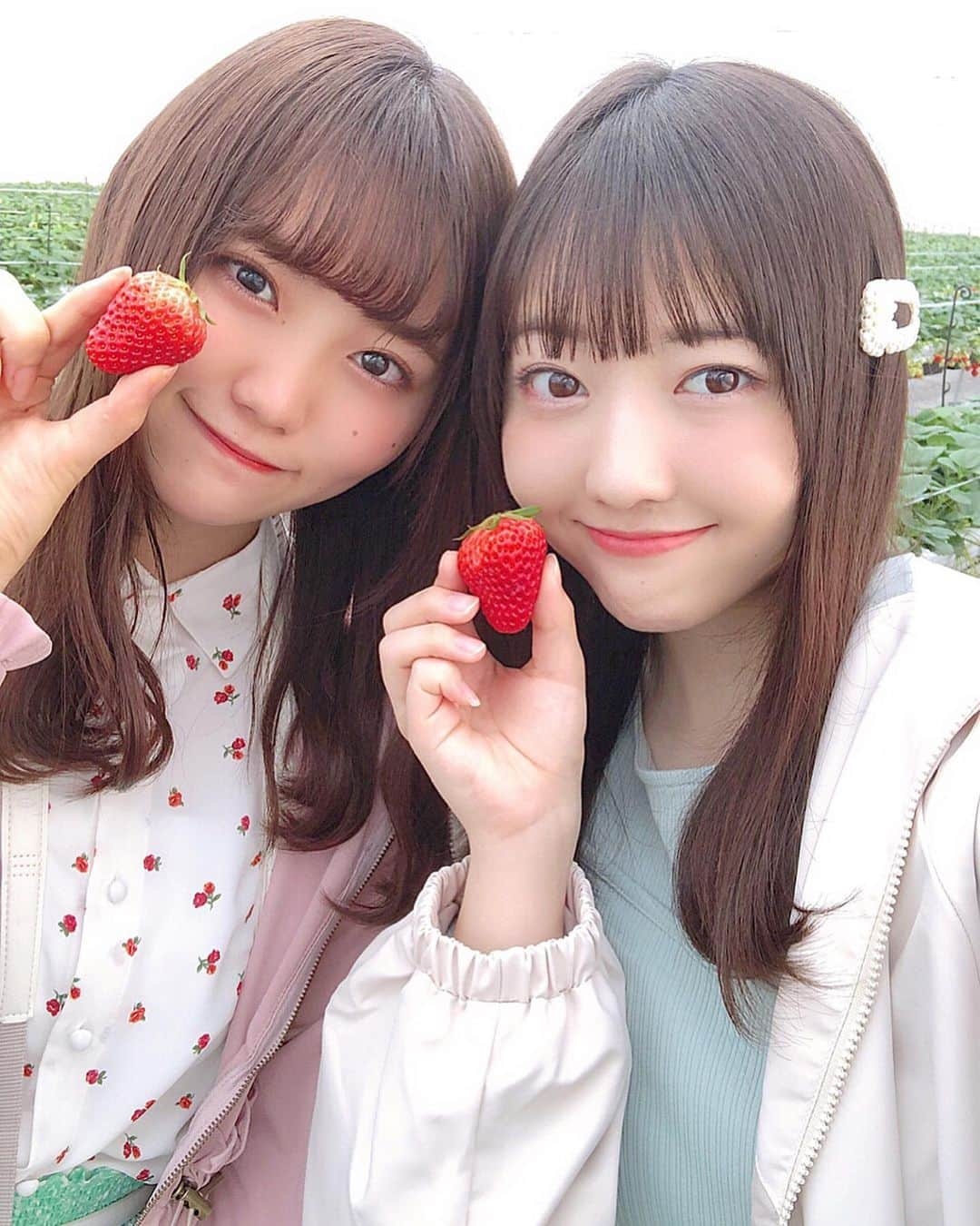 日下部愛菜さんのインスタグラム写真 - (日下部愛菜Instagram)「🍓 . . 撮影でつぐみと一緒なの実は珍しい！ 嬉しかった〜〜〜 ずっと一緒でたくさん癒された🥰❕ . . #いちご #いちご狩り #あいつぐ」3月20日 20時08分 - aina_kusakabe