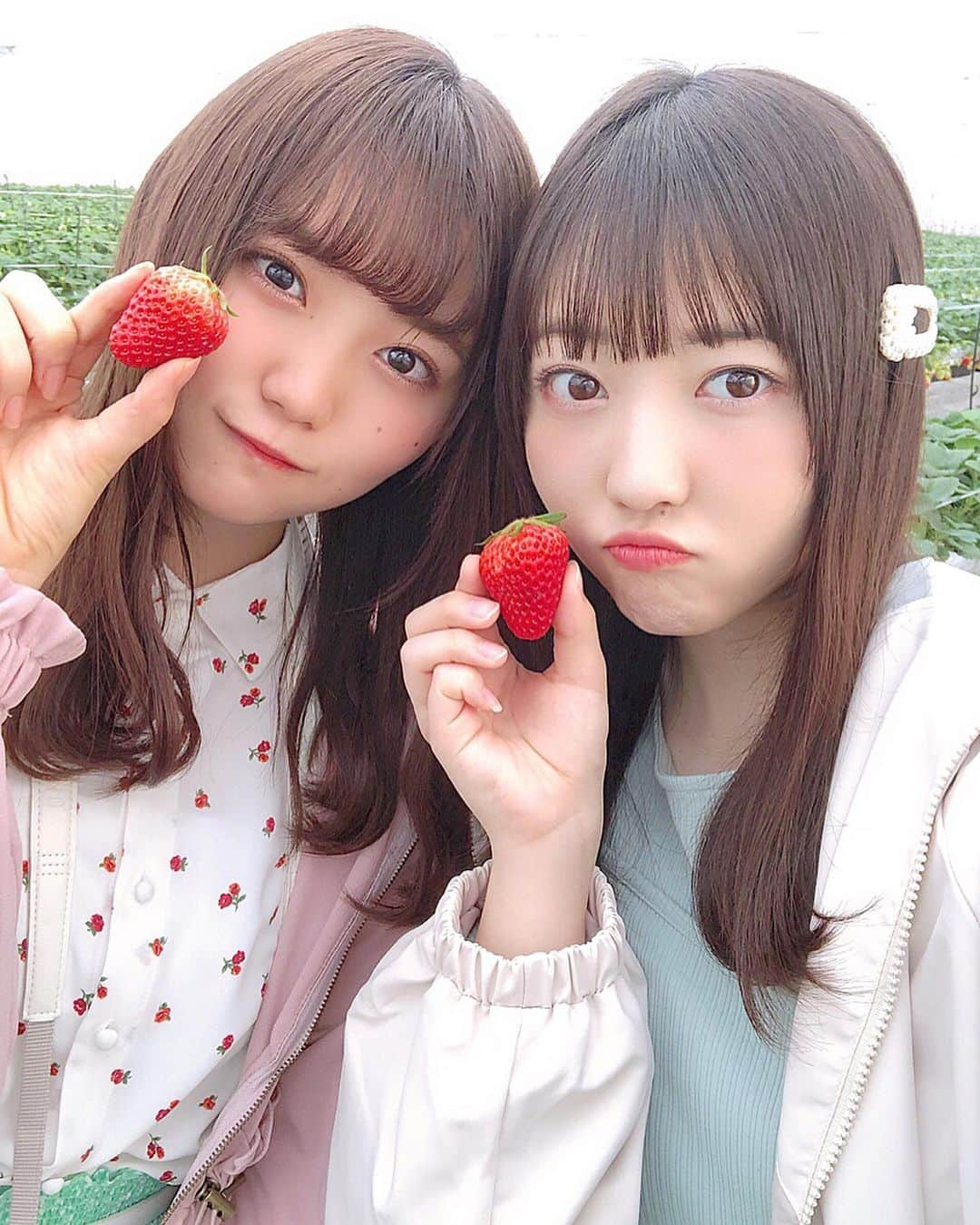 日下部愛菜さんのインスタグラム写真 - (日下部愛菜Instagram)「🍓 . . 撮影でつぐみと一緒なの実は珍しい！ 嬉しかった〜〜〜 ずっと一緒でたくさん癒された🥰❕ . . #いちご #いちご狩り #あいつぐ」3月20日 20時08分 - aina_kusakabe