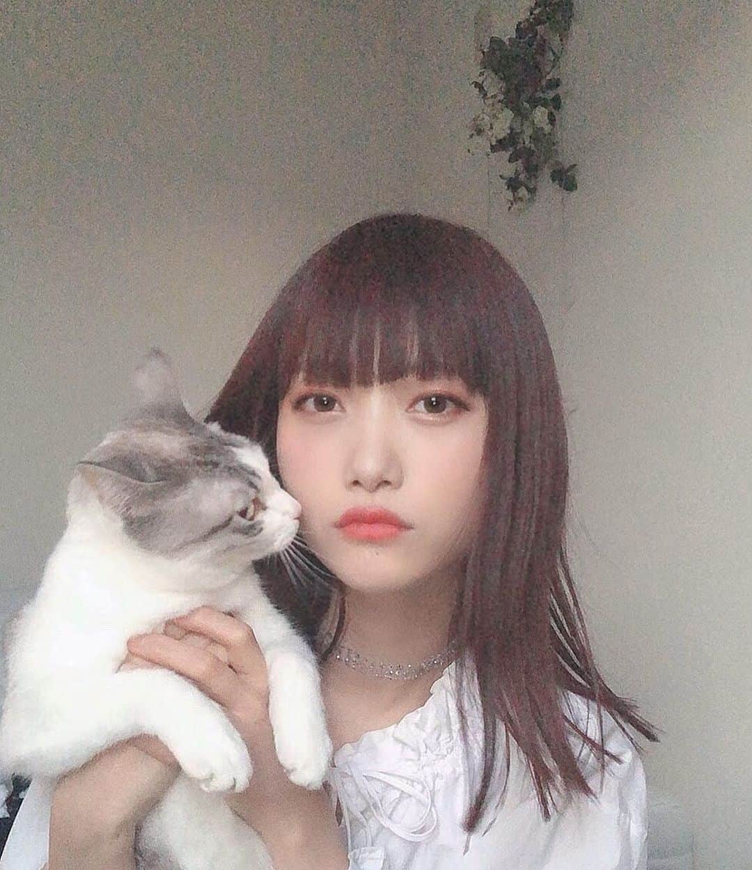 阿知波妃皇のインスタグラム：「気分で髪の毛✂︎ばっさり せっかくだからちゃんとめいくしてみた💄 うれち❤︎ @osakana_yuki ❤︎」