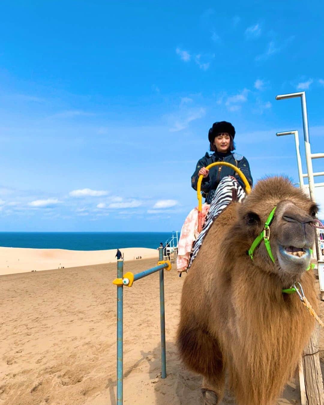 千秋さんのインスタグラム写真 - (千秋Instagram)「ラクダちゃん、可愛い🐫💕 鳥取砂丘、最高✨ 進撃の巨人の壁みたいな砂壁を登り切ったのはとってもいい思い出（超疲れたけど🥴）ちなみに後から知ったけど、海まで楽に行けるコースもありました。 こんな場所が日本で味わえるなんて絶対一度は体験して欲しいな。  #鳥取砂丘 #鳥取県 #千秋旅日記」3月20日 20時27分 - chiaki77777