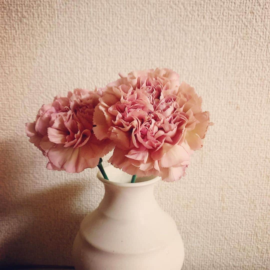 akikoさんのインスタグラム写真 - (akikoInstagram)「春分の日。 陰陽のバランスが整う日。 大好きな花を飾ろう。  どんな状況にあっても、心は健やかでありますように。  #春分の日　#花を飾ろう #春分の日 #音ヨガ #音叉セッション #サウンドメディテーション #Jazzsinger #jazzvocal #アーユルヴェーダワークショップ #オーガニックライフスタイル」3月20日 20時43分 - akikojazz