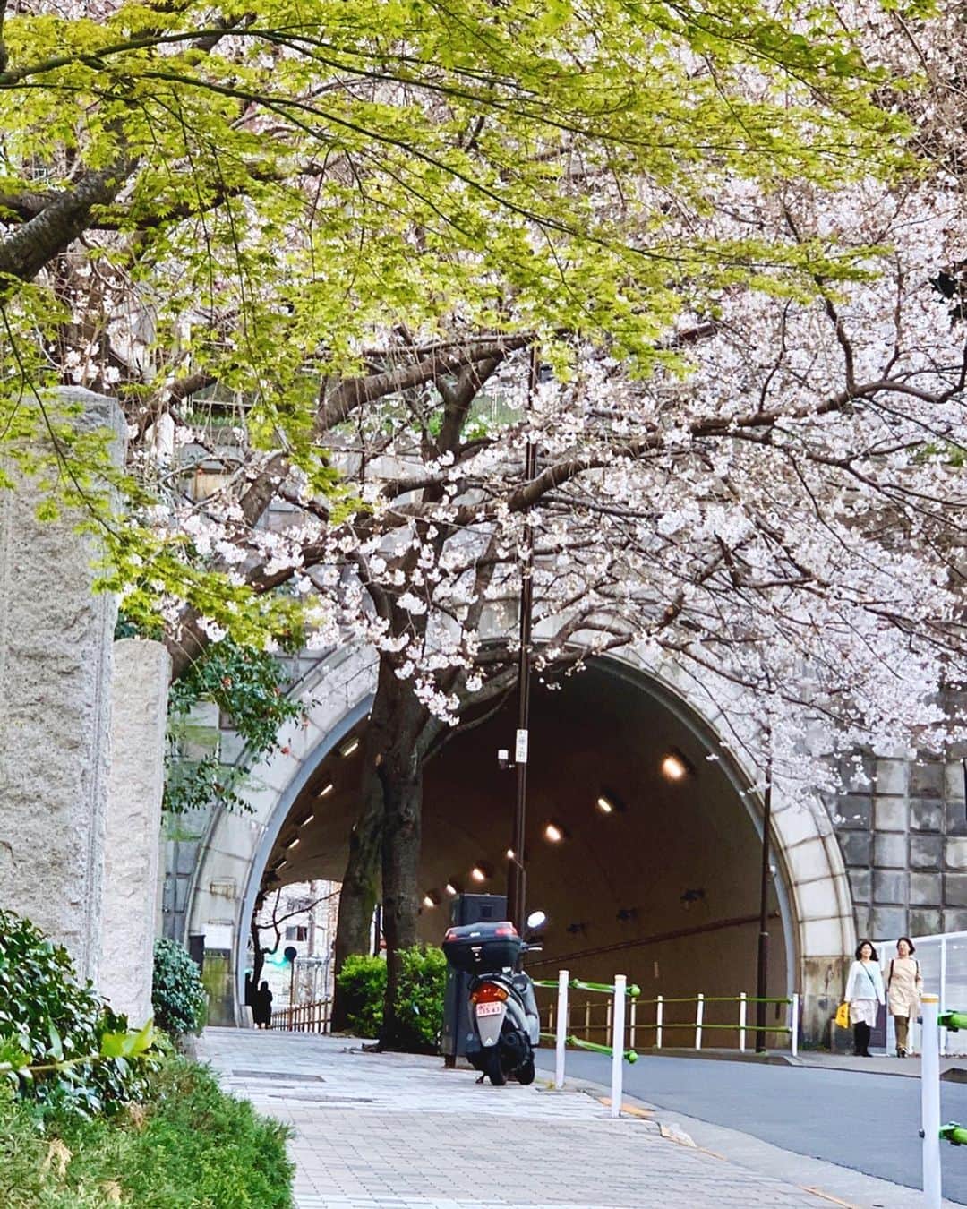 Andaz Tokyo アンダーズ 東京さんのインスタグラム写真 - (Andaz Tokyo アンダーズ 東京Instagram)「With warmer days, find early blooming blossoms all around the neighborhood 🌸 ⠀ Wishing everyone a happy and healthy first day of spring!🍃 ⠀  #spring #springequinox #春分の日 #cherryblossoms」3月20日 21時10分 - andaztokyo