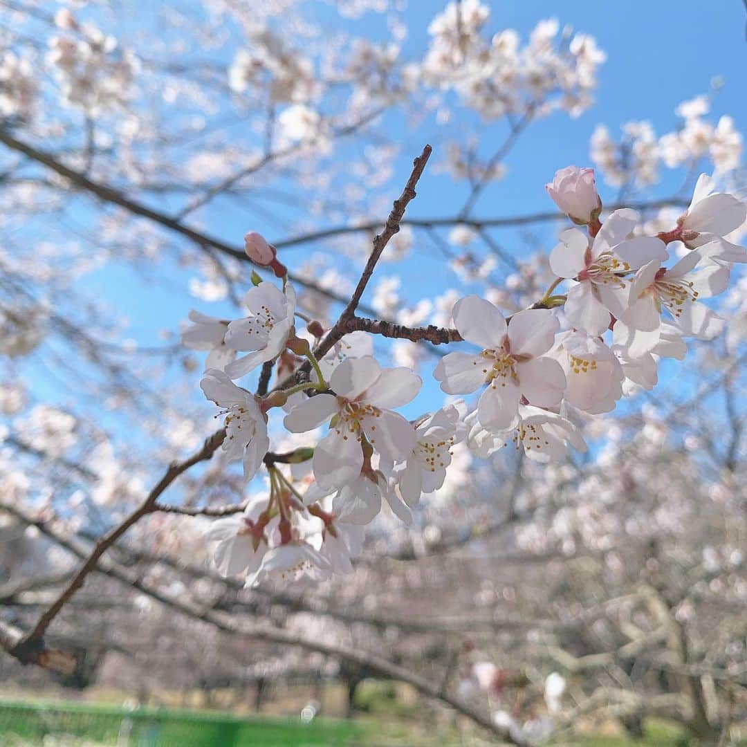 望月一花のインスタグラム：「#宇宙元旦　😘🌍💖🌸」