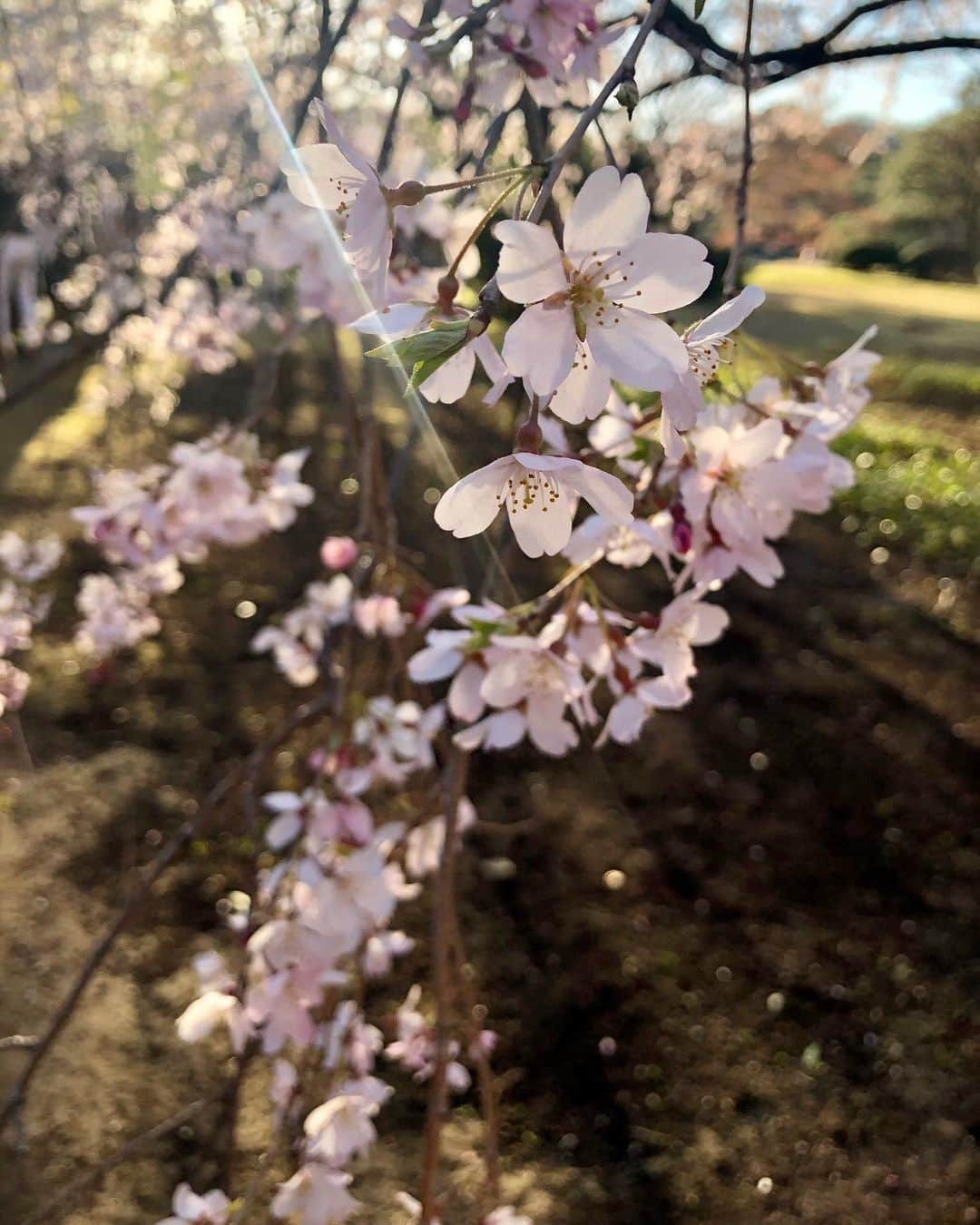 葉山めぐみのインスタグラム