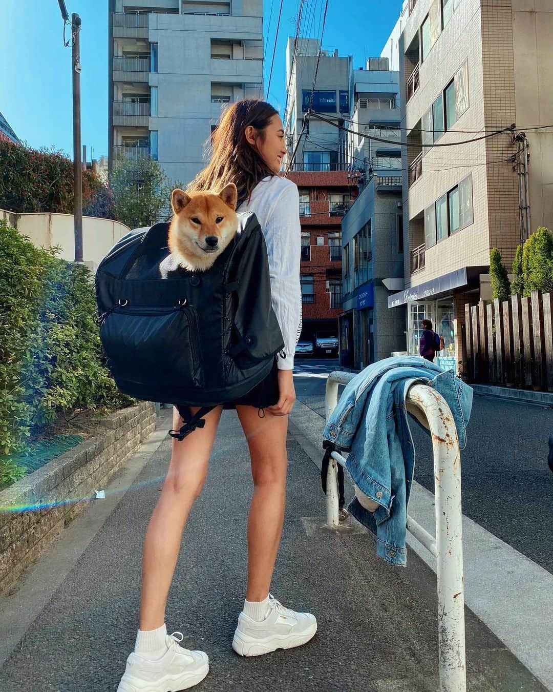 香川沙耶さんのインスタグラム写真 - (香川沙耶Instagram)「Always with You💞🐕💞👩🏽 (普段ちゃんと歩かせてるので、ご安心ください！ これは乗りものに乗せるとき用です🚕🐶) まあまあ重いので、ちょっとした筋トレだね😂🤏🏽 ならしゃん、お利口さんだなぁ🥺 #shibastyle」3月20日 21時32分 - saya.kagawa