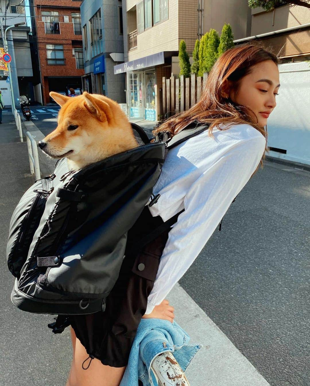 香川沙耶さんのインスタグラム写真 - (香川沙耶Instagram)「Always with You💞🐕💞👩🏽 (普段ちゃんと歩かせてるので、ご安心ください！ これは乗りものに乗せるとき用です🚕🐶) まあまあ重いので、ちょっとした筋トレだね😂🤏🏽 ならしゃん、お利口さんだなぁ🥺 #shibastyle」3月20日 21時32分 - saya.kagawa