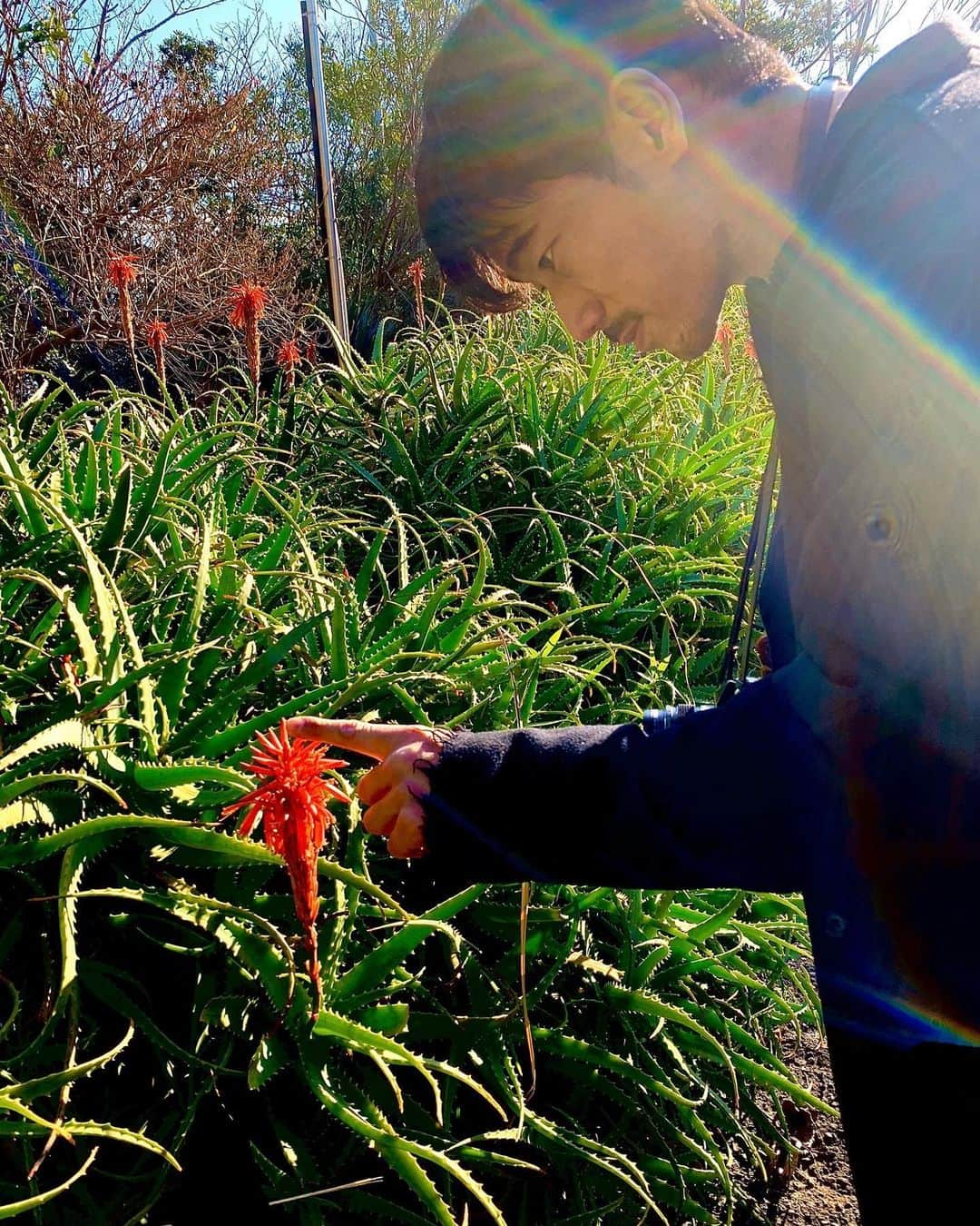 小林直己さんのインスタグラム写真 - (小林直己Instagram)「今日は春分の日🌱 自然をたたえ、生物をいつくしむ日だそうです🌳春分の日は昼と夜の長さがほぼ等しくなり、長かった夜が短くなり始める境の日☀️ Spring Equinox Day is designated a national holiday in Japan.🌸 It is when the sun reaches the vernal equinox, and it's the day when day and night are of equal length.  #EXILE#三代目JSOULBROTHERS#三代目JSOULBROTHERSfromEXILETRIBE#三代目JSB#三代目#3jsb#Idh#小林直己#直己#NaokiKobayashi#放浪兄弟#春分の日  #あとちょっとでお花とおはなし出来そう#ちょんちょん#こんにちは」3月20日 22時05分 - naokikobayashi_works