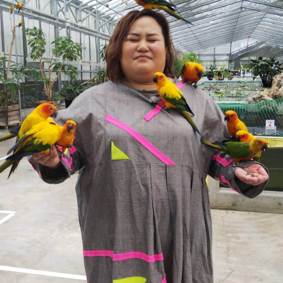 おかずクラブさんのインスタグラム写真 - (おかずクラブInstagram)「こんばんわ！ オカリナです。  ただいまテレビのロケで静岡県掛川市にある掛川花鳥園に行ってきた時の写真だよ！  鳥がたくさんいるのですよ。  餌を持ってるとたくさん集まってくる  顔ハメパネルはなるべくやりたい。 ゆいPうまいよね。  #ただいまテレビ  #ただいま日和」3月20日 22時01分 - okazu_club