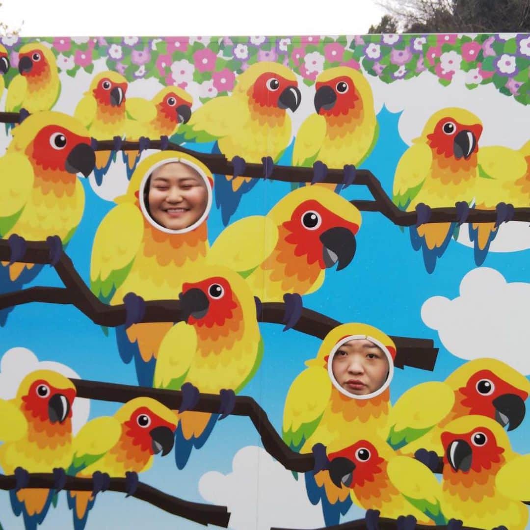 おかずクラブのインスタグラム：「こんばんわ！ オカリナです。  ただいまテレビのロケで静岡県掛川市にある掛川花鳥園に行ってきた時の写真だよ！  鳥がたくさんいるのですよ。  餌を持ってるとたくさん集まってくる  顔ハメパネルはなるべくやりたい。 ゆいPうまいよね。  #ただいまテレビ  #ただいま日和」