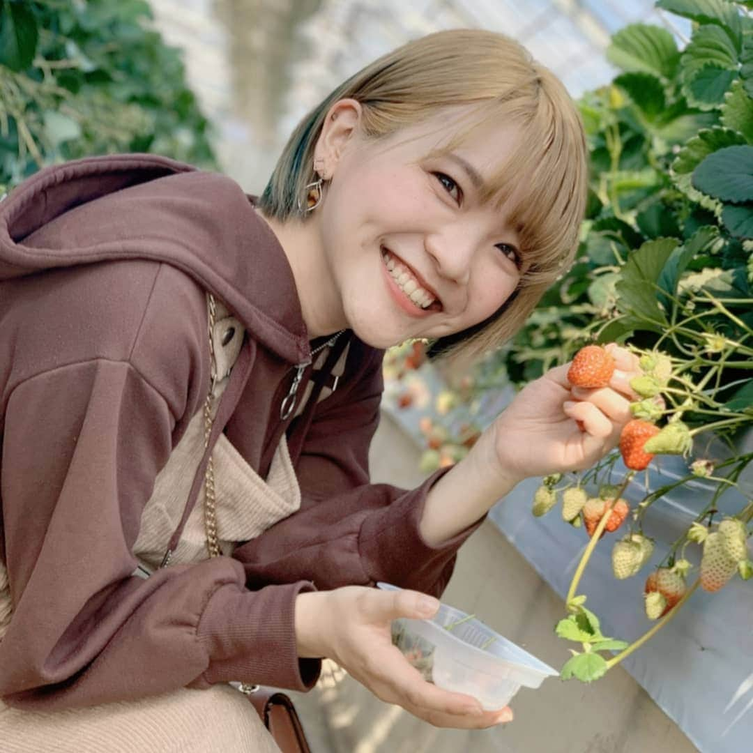 米倉れいなのインスタグラム：「, #いちご狩り 🍓💕」