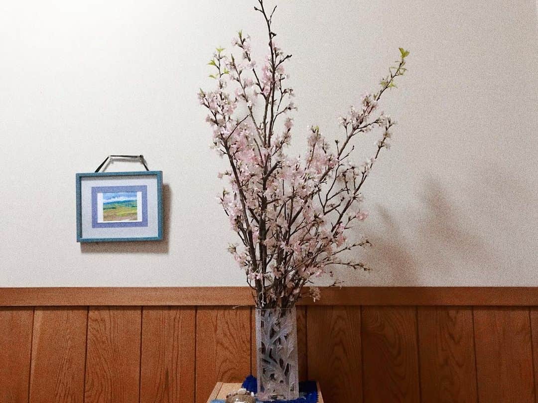 のインスタグラム：「⠀ いつもわたしが仕事に出かける時、祖母は一緒に外に出て、お庭の花をふたりで眺めたりおしゃべりをしながら見送ってくれました。 ⠀ 「いってきます」と言うと「気ぃつけでの、ばいばい」と小さく手を振ってくれた可愛い祖母。 年始に体調を崩して入院し、先日突然旅立ちました。退院を予定していた日でした。 ⠀ 祖父と抱き合って子どものようにわんわん泣いたのに、時間がたった今もまだ実感が持てずにいます。 ⠀ 枕花を調達に出た際、お見舞いのときに持っていって喜んでくれたことを思い出し、最期にひと目祖母に見せたくて枕花とは別に用意した啓翁桜。 もうすぐ１ヶ月が経とうとしていますが、まるで祖母のいない春の隙間を埋めるかのように、長く綺麗に咲いてくれています。 ⠀ 神道では亡くなった人はその家を守る神様になるのだそうです。 気のせいかもしれませんが、祖母が亡くなってから不思議なことが続いて、祖母が助けてくれているみたいだなあとふと思うときがあります。 ⠀ わたしの仕事を誰よりも把握し、活躍を喜んでくれていた祖母。 それがとても嬉しくて、もっと喜んでほしくて、ばあばがいたからここまで頑張り続けることができました。 これからも頑張るから、見守っていてね。 ⠀ 春分の日に寄せて。」