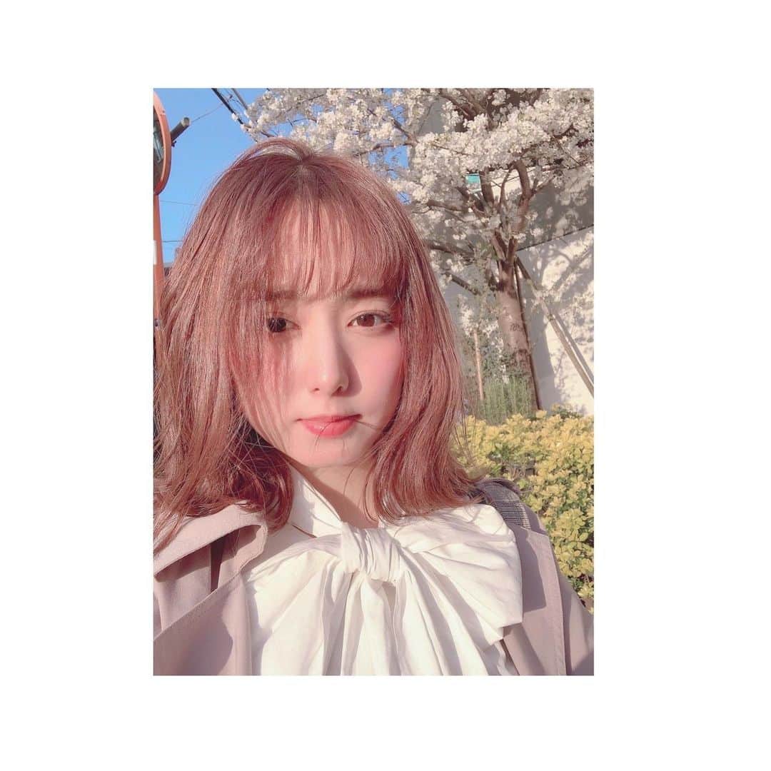 前田美里のインスタグラム：「春だあああああああああ！！🌸 . #桜 #春 #代官山 #自撮り  #フォロワー募集中 #ポートレート #selfie #sakura #japan #spring #japanesegirl #Happy #beauty #fashion #follow #followme #instagood #今日の写真」
