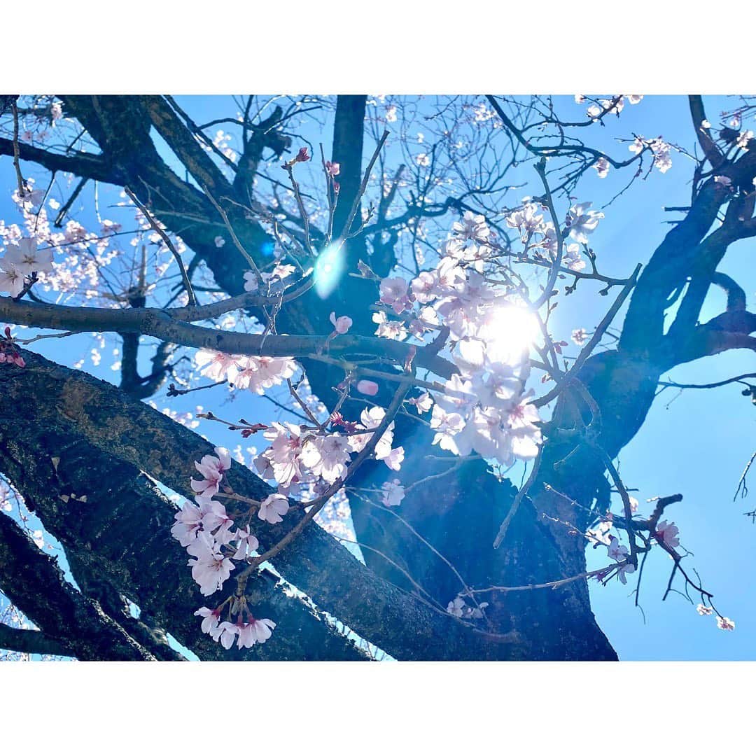 神子島みかのインスタグラム
