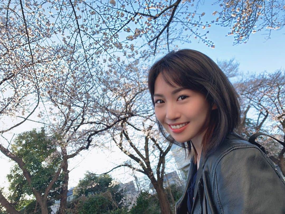 増田有華さんのインスタグラム写真 - (増田有華Instagram)「＊ こっち見んなver.もあったので載せておきます。マネージャーさん手ブレが減って写真の腕があがりました。 いい夢みてね🍓おやすみなさい💤 ・ ・ ・ #sakura #桜 #日本 #japnese #japan #japanesegirl」3月20日 23時21分 - masuyuka_official