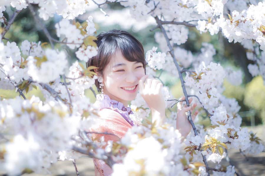 小橋 みなみのインスタグラム：「桜🌸 ・ ・ ・ ・ 新宿御苑 ・ ・ ・ ・ Photo by @came_ra_llia ・ ・ ・ 素敵な写真ありがとうございました♡ ・ ・ ・ ・ #桜#🌸#お花見#新宿御苑#桜ポートレート」