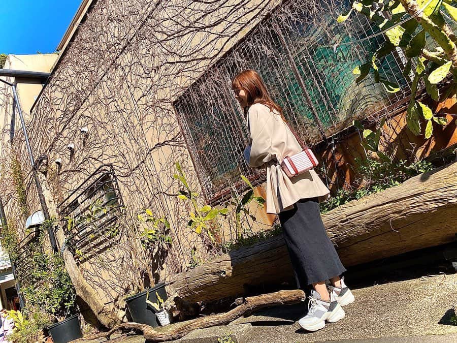 渡辺美優紀さんのインスタグラム写真 - (渡辺美優紀Instagram)「. ☀️🐾 . .」3月20日 23時37分 - miyukichan919