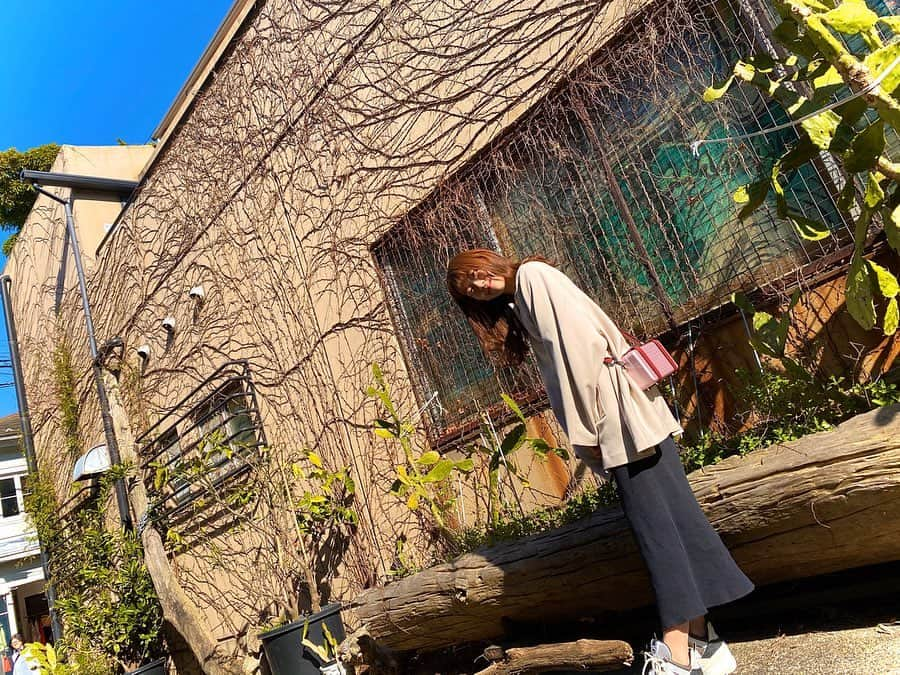 渡辺美優紀さんのインスタグラム写真 - (渡辺美優紀Instagram)「. ☀️🐾 . .」3月20日 23時37分 - miyukichan919