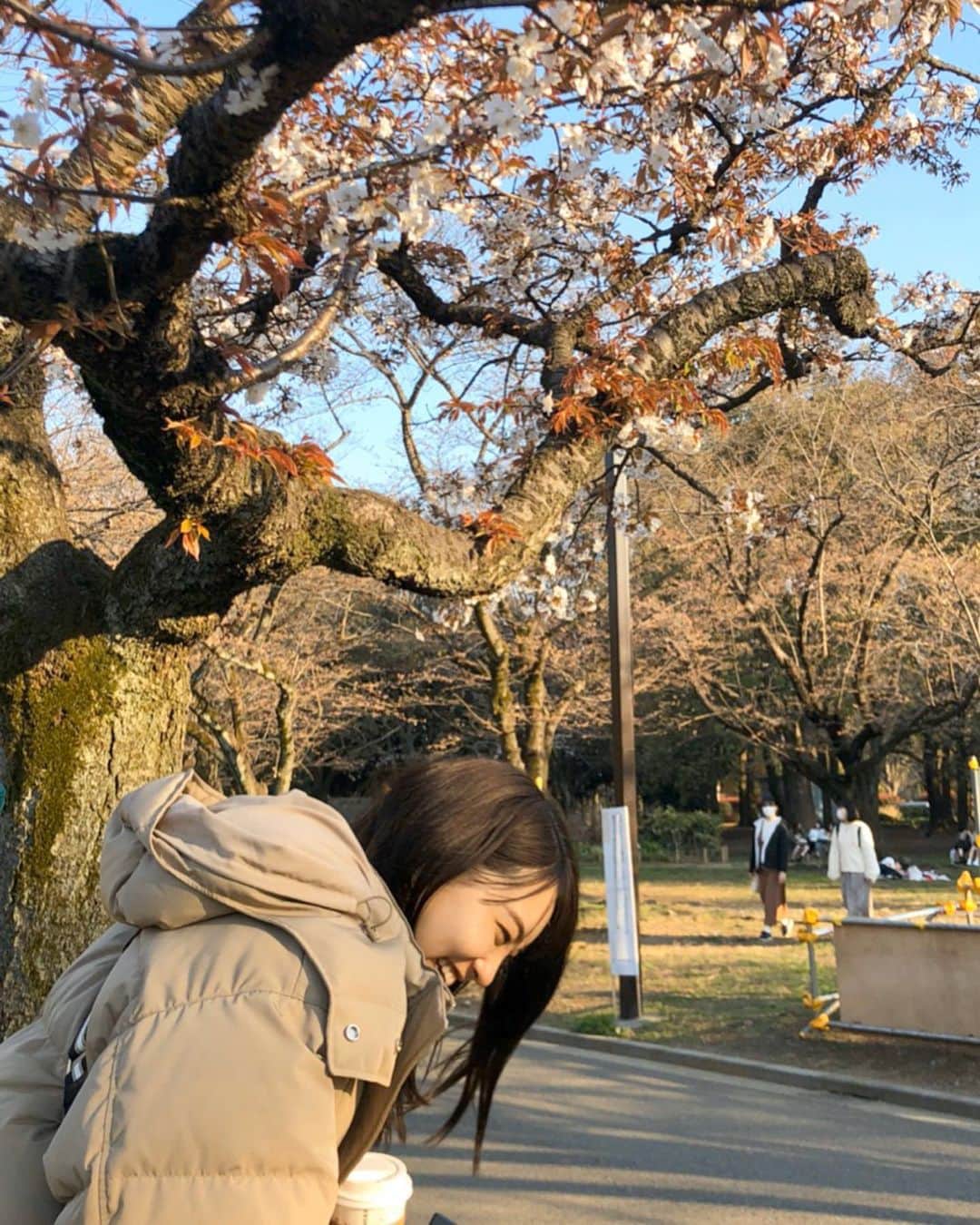 中田陽菜子のインスタグラム：「🚶‍♀️🚶‍♀️🤍 この前お散歩しながら桜がちらほら！ すごく楽しい日でした~」
