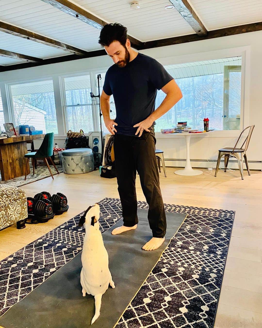 コリン・ドネルのインスタグラム：「My morning training session. First a pep talk from Petey and (swipe) Milo walking me through some cool down stretches. • Thanks to @builtforthestage for keeping me motivated and moving. • #move #homegym #workout #notafitnessmodel #washyourhands #socialdistancing」