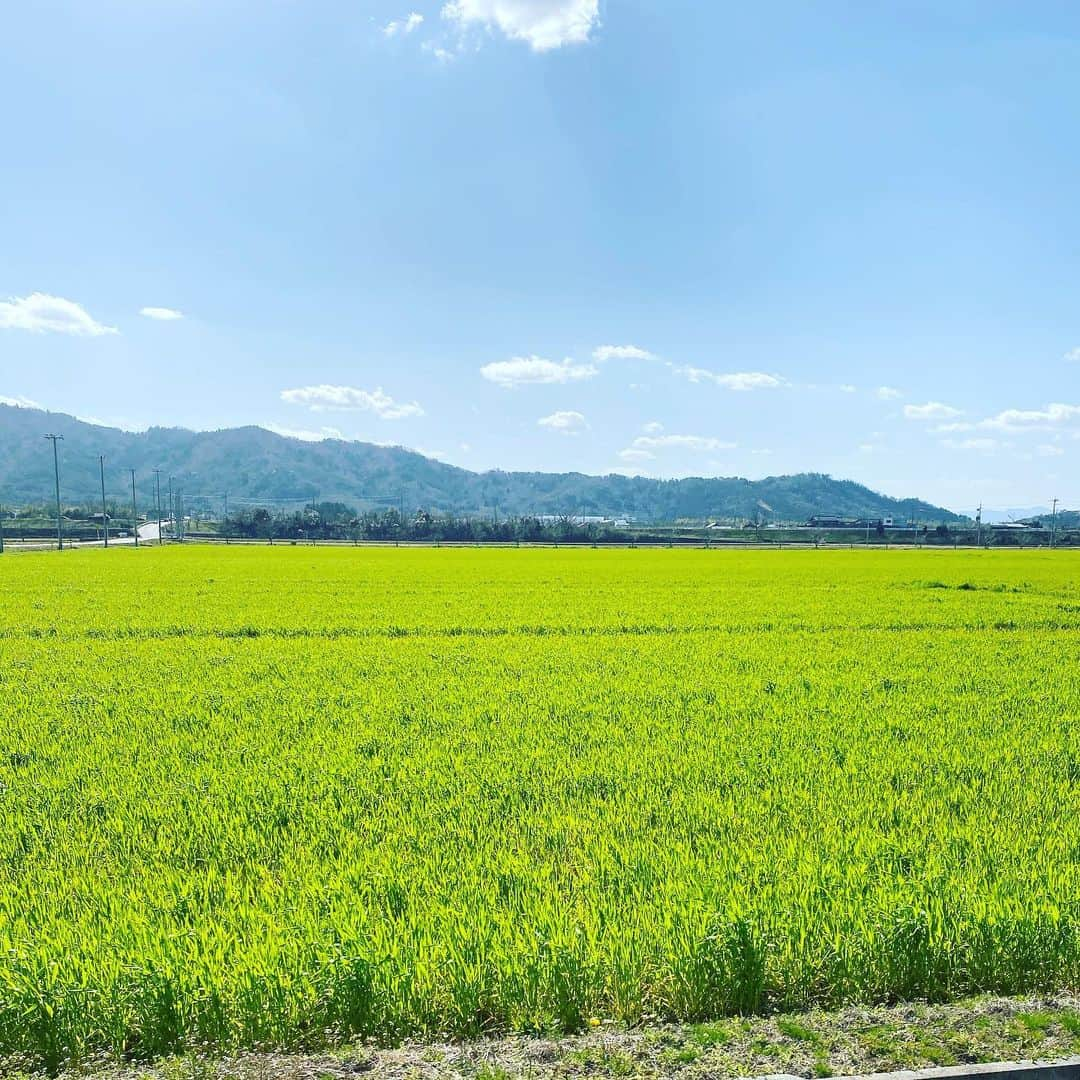 西川忠志さんのインスタグラム写真 - (西川忠志Instagram)「3月20日＊春分の日  青い空　白い雲　緑の田圃  今日も良いお天気でしたね！  さて明日の3月21日土曜日は 毎日放送にて昼12時54分から よしもと新喜劇🌸春の2時間スペシャルが放送されます！ 私も出演させて頂いております。  皆様お時間ございましたらご覧頂けます様 宜しくお願い申し上げます。  感謝  #春分の日　#青い空　#白い雲　#緑の田圃　#良い天気  #自然　#よしもと新喜劇　#吉本新喜劇　#毎日放送　 #春の2時間スペシャル　#ありがとうございます　#ありがとう #西川忠志　#感謝　#春」3月21日 0時37分 - nishikawa_tada