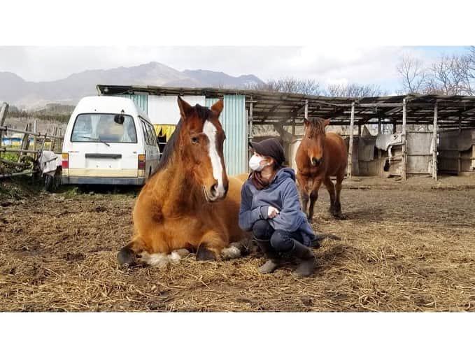 安藤志穂美さんのインスタグラム写真 - (安藤志穂美Instagram)「競馬は人間の娯楽の為だけにあるもの。﻿ その動物利用に対して、﻿ お金を賭けてる事自体が私には理解ができない。﻿ ﻿ それどころか、﻿ 馬主は引退した後もその馬を生かしておけるくらいの額を稼がせてもらったにも関わらず、その馬を殺処分に回す。謎。﻿ ﻿ 競馬好きな人達も散々楽しませてもらったのに、﻿ 引退後の馬の事はどうなろうが知ったこっちゃないって？﻿ 実際、どうなってるか知ってますか？﻿ ﻿ 骨折したら殺処分。﻿ 暴れ馬には餌をわざとやらないで死ぬまで放置。﻿ ﻿ ディープインパクトが殺処分された時、﻿ 自称馬好きと名乗る人々は口を揃えてこう言った。﻿ ﻿ 「殺処分なんてひどい！可哀想！」﻿ ﻿ どの口がそんなこと言うの？﻿ あなた達のせいだよ、競馬さえ無ければディープインパクトも、他の馬達も殺される必要なんて無いんだ。﻿ ﻿ 普通に生きていたなら、骨折なんかしなくて済んだのに。﻿ ﻿ 馬が好きなんて、本当にどの口が言ってるの？﻿ あなた達が好きなのは馬では無い、ギャンブルが好きなだけ。﻿ ﻿ 馬が好きというのは私達のことを言うの！﻿ 人間の都合で動物利用をしたくない、その馬の個性と意志と感情を尊重し、同じ命として扱う事。﻿ 私たちは本気で動物が大好きだから、動物達を苦しめたくない。﻿ 本当に動物が好きと言うのは、私のことだよ。﻿ ﻿ 競馬だけじゃない、乗馬も、学校の馬術部だって、﻿ その後の馬達はどうなるのか考えたことある？﻿ ﻿ 人間の娯楽は人間同士で作るべき。﻿ 馬に限らず、動物はとても神秘的なの。﻿ もちろん人間もそう。﻿ 全ての命が平等なはずなのに、いつ世の中や人間達はおかしいと気付くの？﻿ ﻿ ﻿ #馬﻿ #horse﻿ #🐎﻿ #farmsanctuary﻿ #japan﻿ #熊本﻿ #南阿蘇﻿ #ファームサンクチュアリィ﻿ #保護動物﻿ #家畜﻿ #動物愛護﻿ #動物福祉﻿ #ボランティア﻿ #volunteer﻿ #オープンセサミ ﻿ #animalrights﻿ #愛護活動﻿ #アニマルライツ﻿ #vegan﻿ #vegetarian﻿ #乗馬﻿ #ディープインパクト #障害馬 #競馬﻿ #神秘 #アニマルセラピー #馬好きさんと繋がりたい」3月21日 0時54分 - shiomi_ando