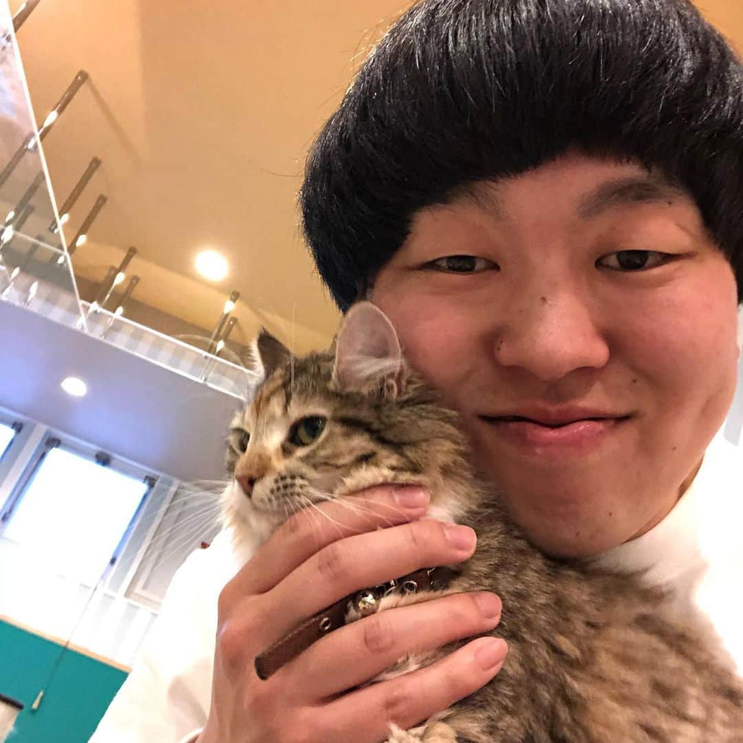 かみちぃさんのインスタグラム写真 - (かみちぃInstagram)「猫カフェ最強〜 癒し〜 また行こう〜 チャオチュール最強〜 あんバタートースト最強〜  #ジェラードンかみちぃ #サンジェルマンあとむ #猫カフェ #新大久保 #あんバタートースト #チャオチュール最強」3月21日 1時06分 - kamichii_gerrardon