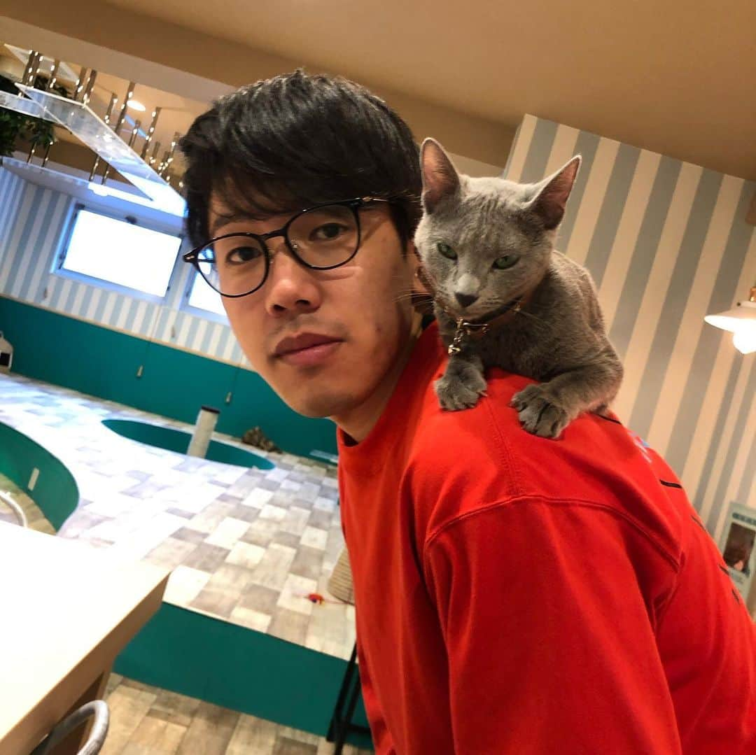 かみちぃさんのインスタグラム写真 - (かみちぃInstagram)「猫カフェ最強〜 癒し〜 また行こう〜 チャオチュール最強〜 あんバタートースト最強〜  #ジェラードンかみちぃ #サンジェルマンあとむ #猫カフェ #新大久保 #あんバタートースト #チャオチュール最強」3月21日 1時06分 - kamichii_gerrardon