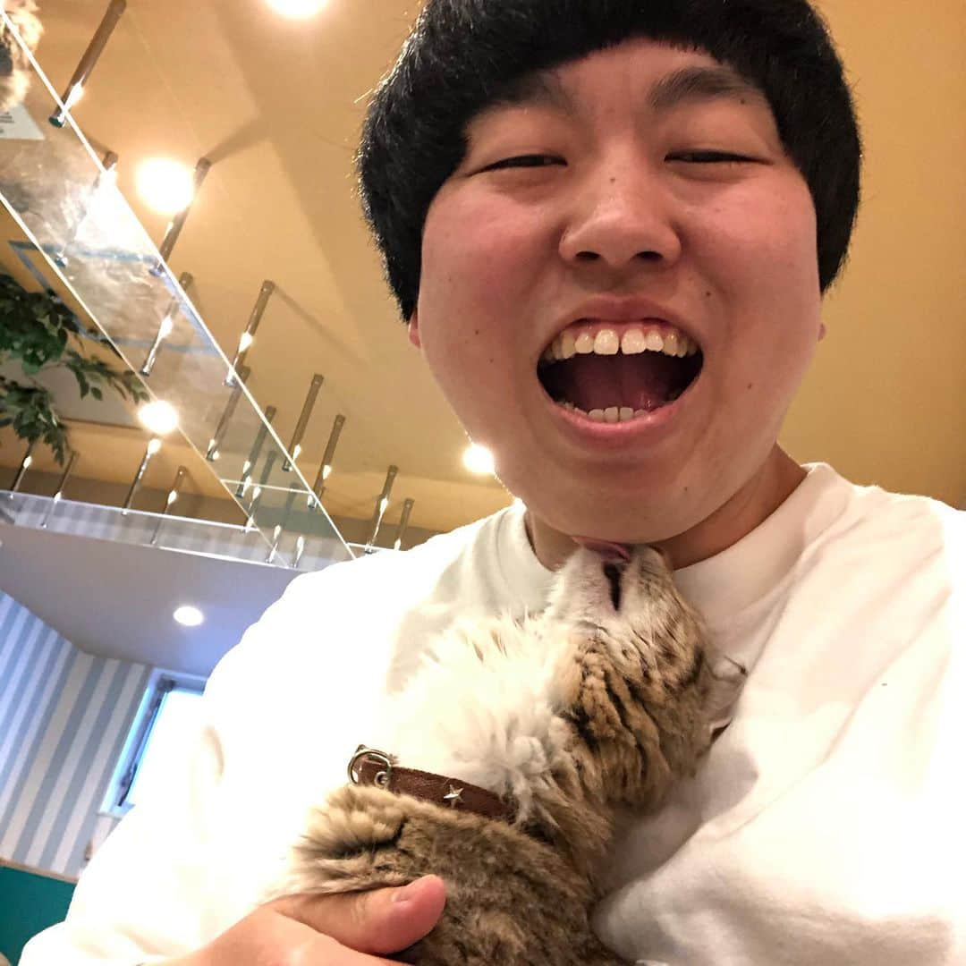 かみちぃさんのインスタグラム写真 - (かみちぃInstagram)「猫カフェ最強〜 癒し〜 また行こう〜 チャオチュール最強〜 あんバタートースト最強〜  #ジェラードンかみちぃ #サンジェルマンあとむ #猫カフェ #新大久保 #あんバタートースト #チャオチュール最強」3月21日 1時06分 - kamichii_gerrardon