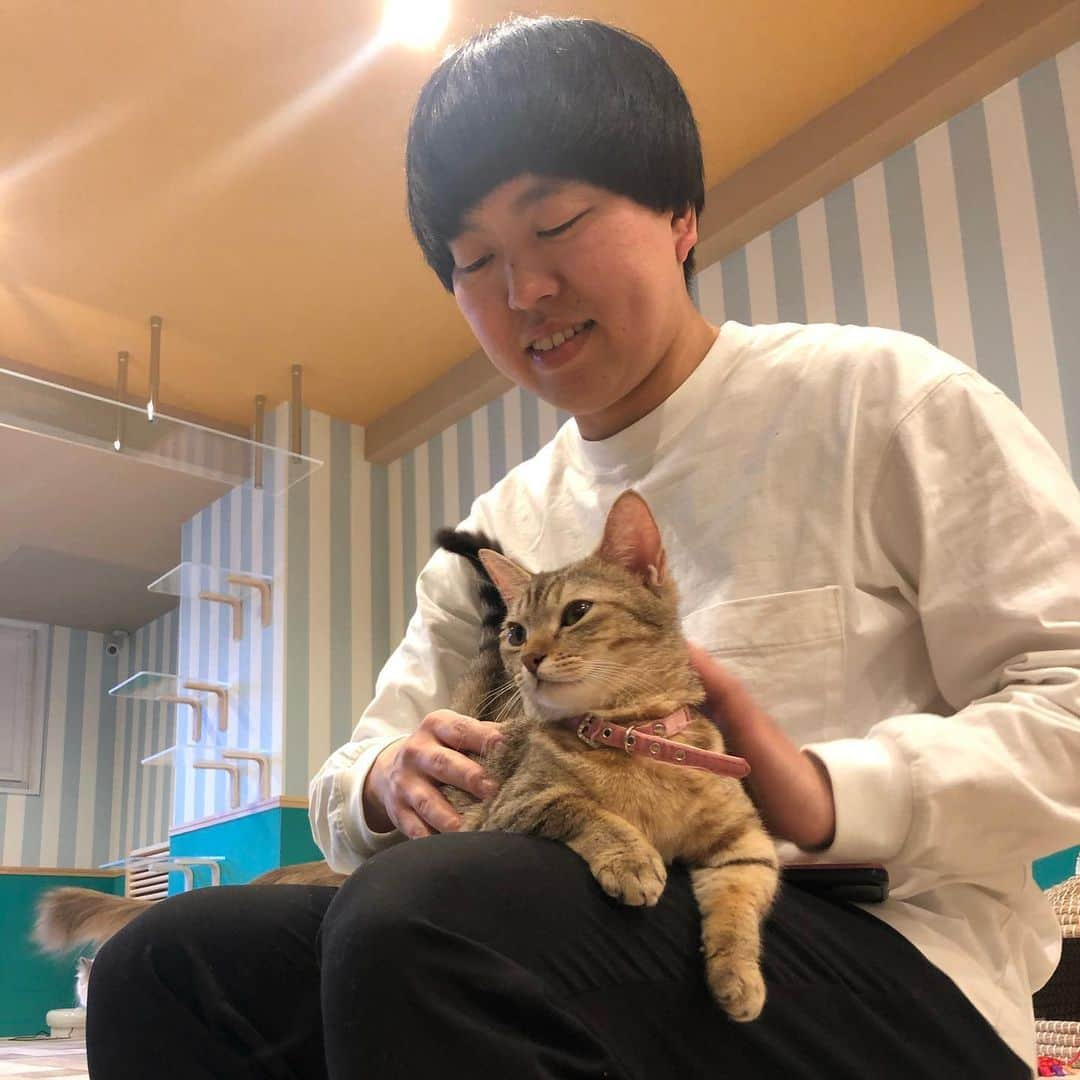 かみちぃさんのインスタグラム写真 - (かみちぃInstagram)「猫カフェ最強〜 癒し〜 また行こう〜 チャオチュール最強〜 あんバタートースト最強〜  #ジェラードンかみちぃ #サンジェルマンあとむ #猫カフェ #新大久保 #あんバタートースト #チャオチュール最強」3月21日 1時06分 - kamichii_gerrardon