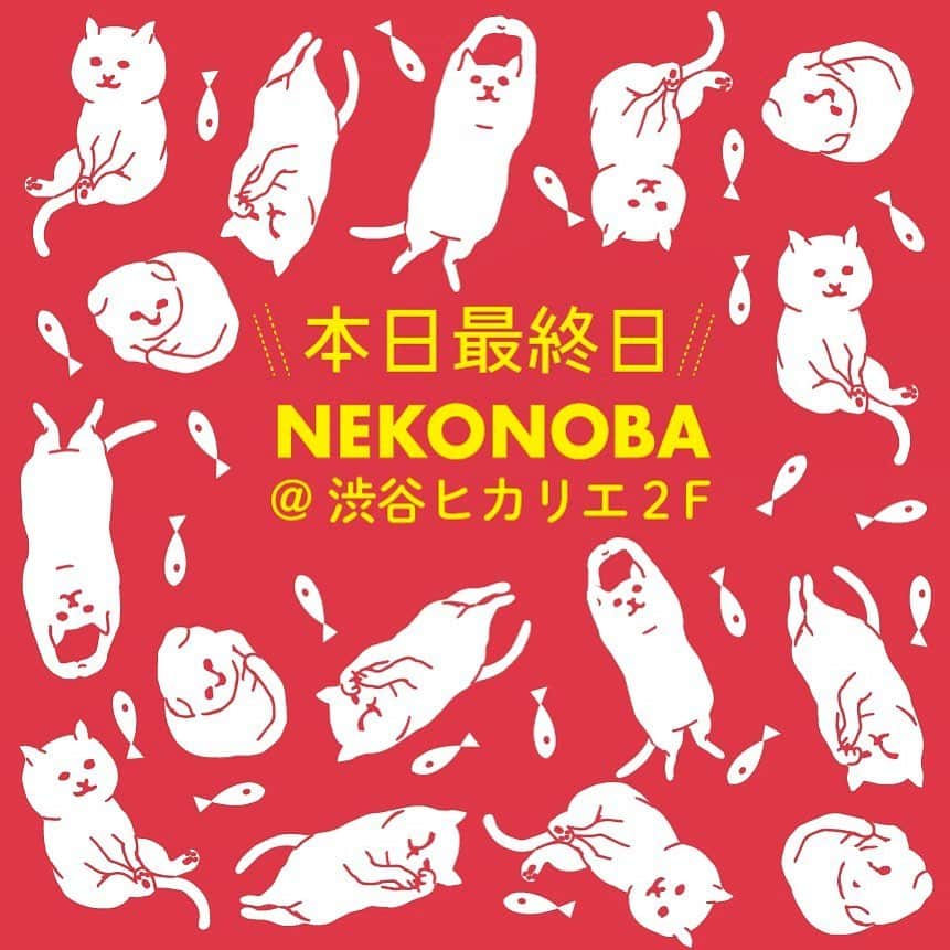 ねこさんのインスタグラム写真 - (ねこInstagram)「ついにこの日が来てしまいました❣️😱💦 NEKONOBA in 渋谷ヒカリエは本日2月26日(水)が最終日です😃✋🏻✨約3週間本当にありがとうございましたーっ❣️❣️🙇‍♂️ 最終日は夜21時まで営業してるよん😆🤘🏻 買いそびれたあの商品も…プレゼントに狙ってたあの商品も…ホワイトデーのお返しギフトも❣️なんでも❣️getしに来てくださいな🙆‍♀️✨一部商品はヒカリエ限定価格でお得プライスになっています❤️ しばらく都内近辺での自主イベントはお休みなので、もし今日来れる方❣️✨この機会に是非遊びに来てください💨 雨だから気をつけて来てね🐾 #neko_magazine #NEKONOBA #ねこマガジン #ネコノバ #ねこ #猫 #cat #catstagram #cat #ネコフェス #ヒカリエ  #shibuya #渋谷 #渋谷ヒカリエ #mmts #マミタス」2月26日 11時09分 - neko_magazine