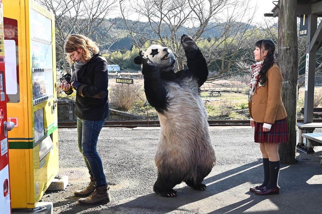 星星（セイセイ）さんのインスタグラム写真 - (星星（セイセイ）Instagram)「🥫 . きょうの #ベラベラENGLISH は… 🌟Take your time! 🌟ゆっくりして！ . #星星 #パンダ #panda #pandagram #パンダ好きな人と繋がりたい #レイア #相方 #ZIP!」2月26日 11時41分 - seisei_panda
