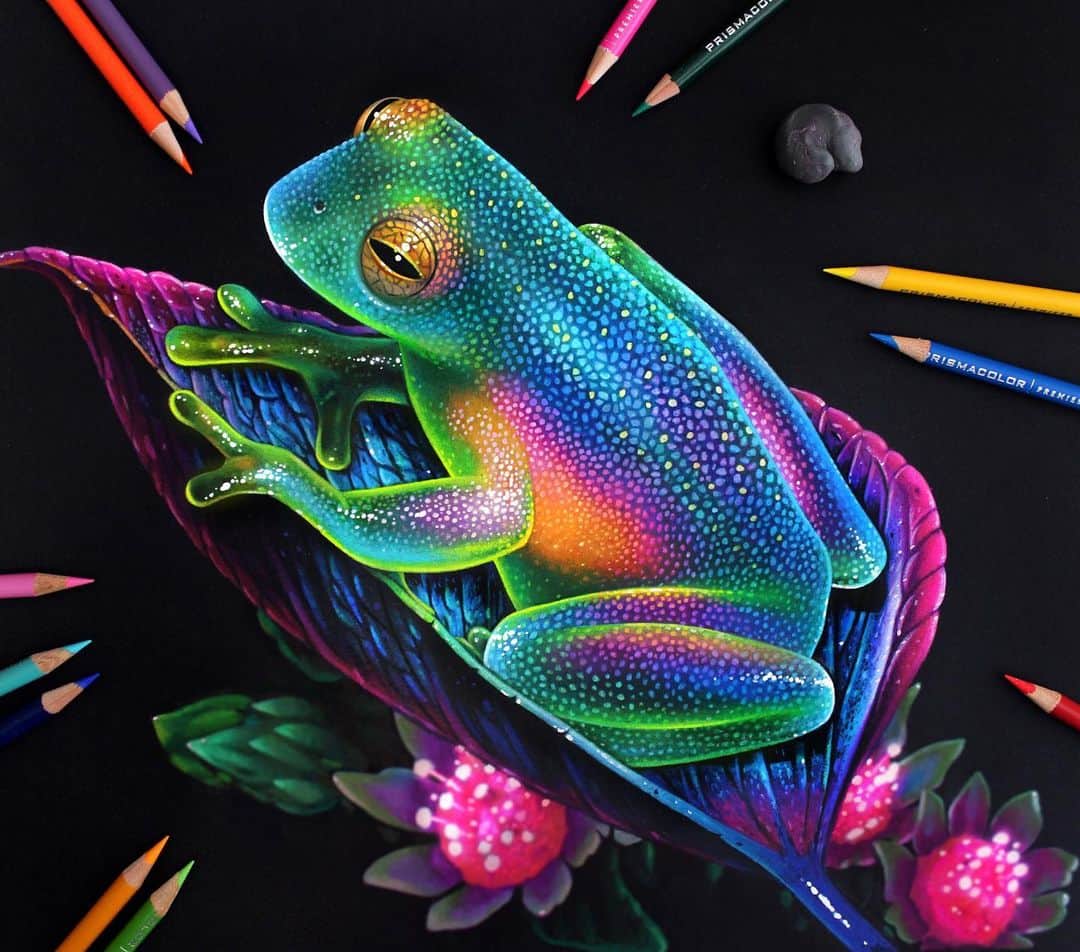 Morgan Davidsonのインスタグラム：「Well, this was a fun challenge drawing this little glowing glass frog! (so many layers to get the glow)😅 Colored pencil, acrylic paint pen and pan pastel on black paper. Also, I have a few short real time process clips I might post in my story tomorrow! 💕」