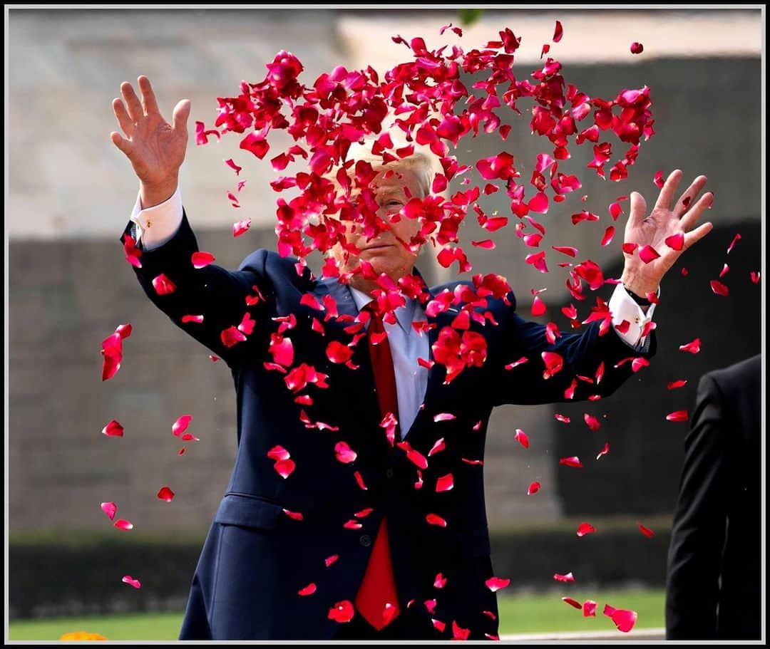 ドナルド・トランプさんのインスタグラム写真 - (ドナルド・トランプInstagram)「@realDonaldTrump tosses rose pedals at Raj Ghat, a memorial dedicated to Mahatma Gandhiat, in New Delhi, India. 📸Doug Mills, NYT」2月26日 4時10分 - realdonaldtrump