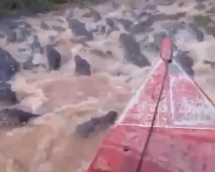 WildLifeのインスタグラム：「#repost @discoversharks / Wow 😳 via @discovercrocodiles video by unknown #video #unknown #corocodiles」