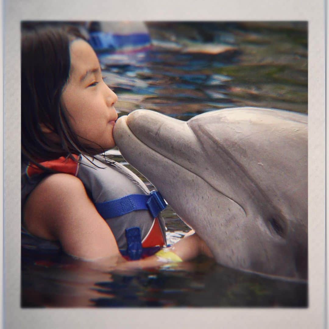 mioさんのインスタグラム写真 - (mioInstagram)「#🐬 動物とのふれあいは、セラピーのようで、一緒に過ごすことでとてもリラックスできたりプラスの感情を感じることができることが多いと思います。 イルカはその人が持つなんらかの性質も察知するそうです。 #dolphin #イルカ」2月26日 5時44分 - mio_harutaka